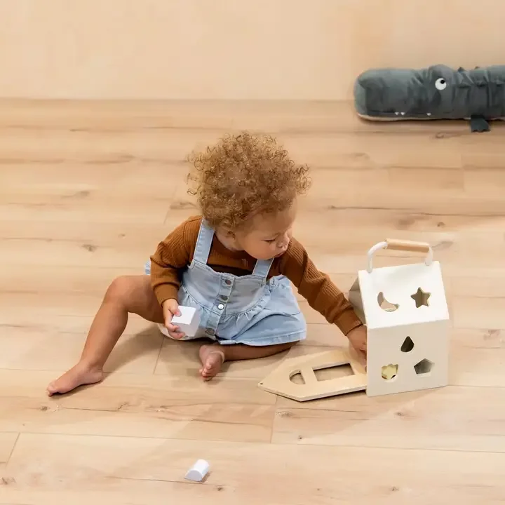 Wooden Shapes Sorting House (6).webp