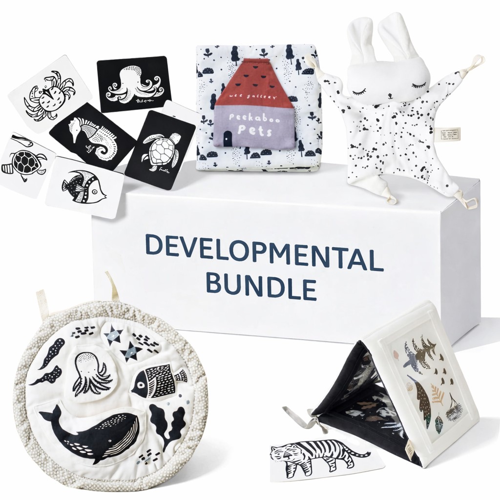 Developmental Bundle for Baby