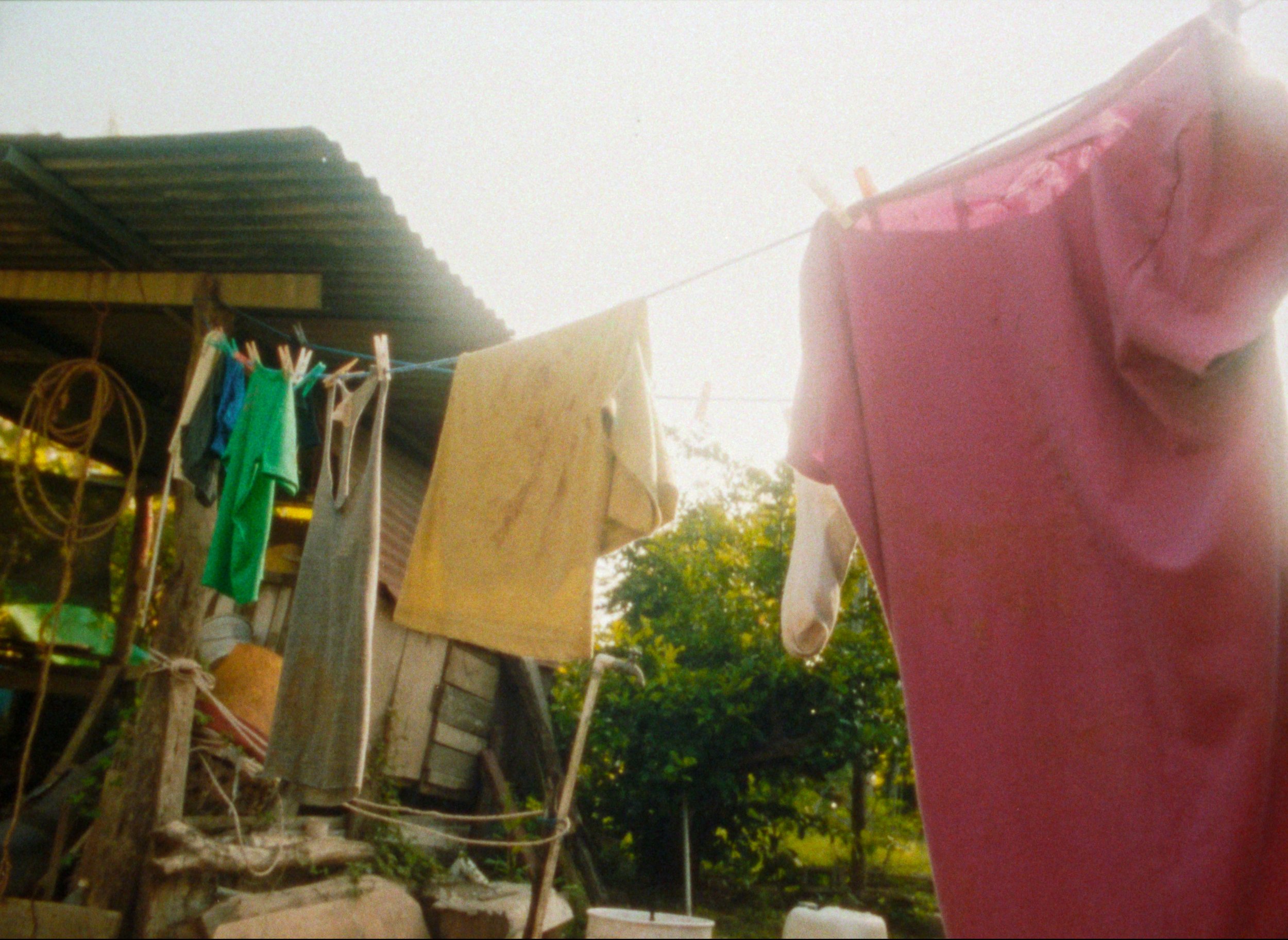 Clothes hanging on a clothesline in an outdoor setting with a rustic shed and greenery in the background.