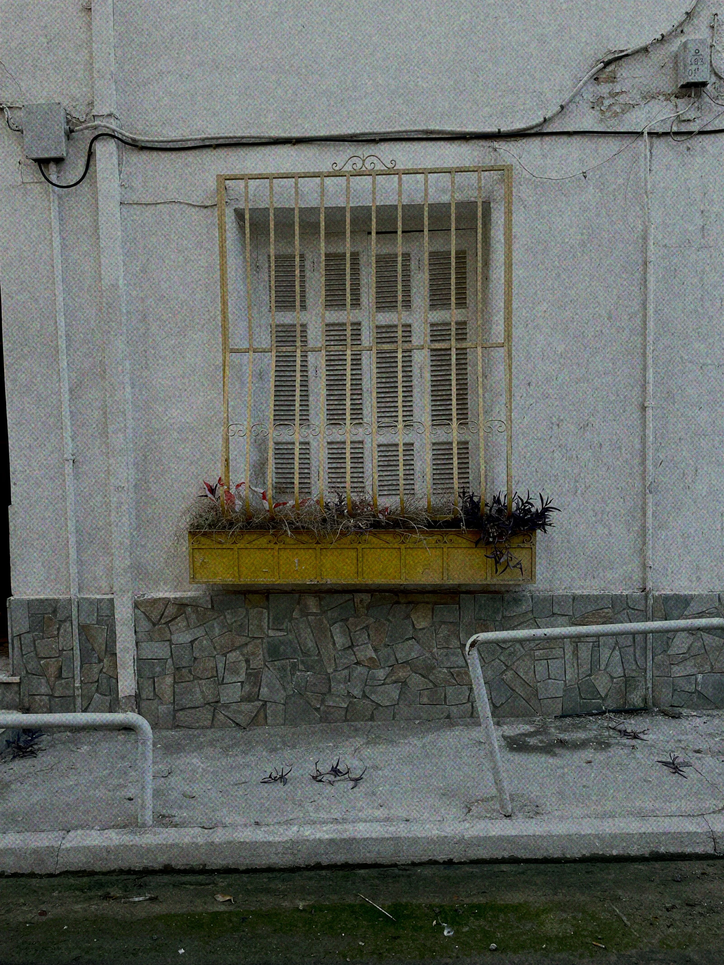 A window with closed shutters, protected by a metal grille and a window box filled with plants, set in a building with a stone base and electrical wiring overhead.