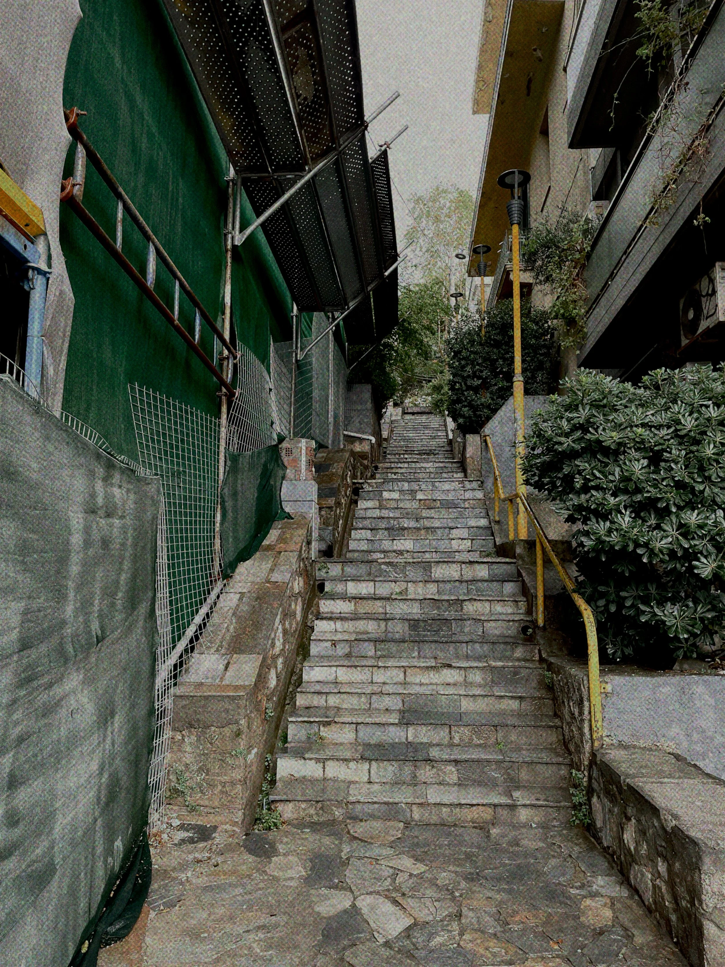 A steep outdoor stone staircase ascending between buildings, with yellow railings on the right side and green plants on the right, alongside construction scaffolding on the left, in an alleyway.