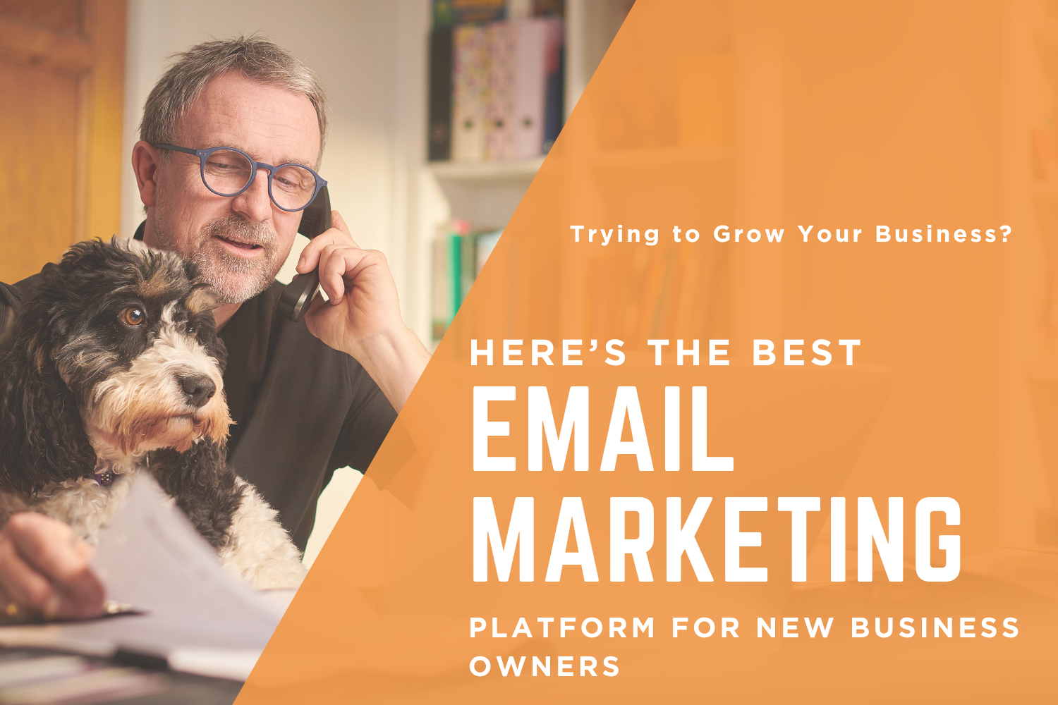 Trying to Grow Your Business? Here’s the Best Email Marketing Platform for New Business Owners 