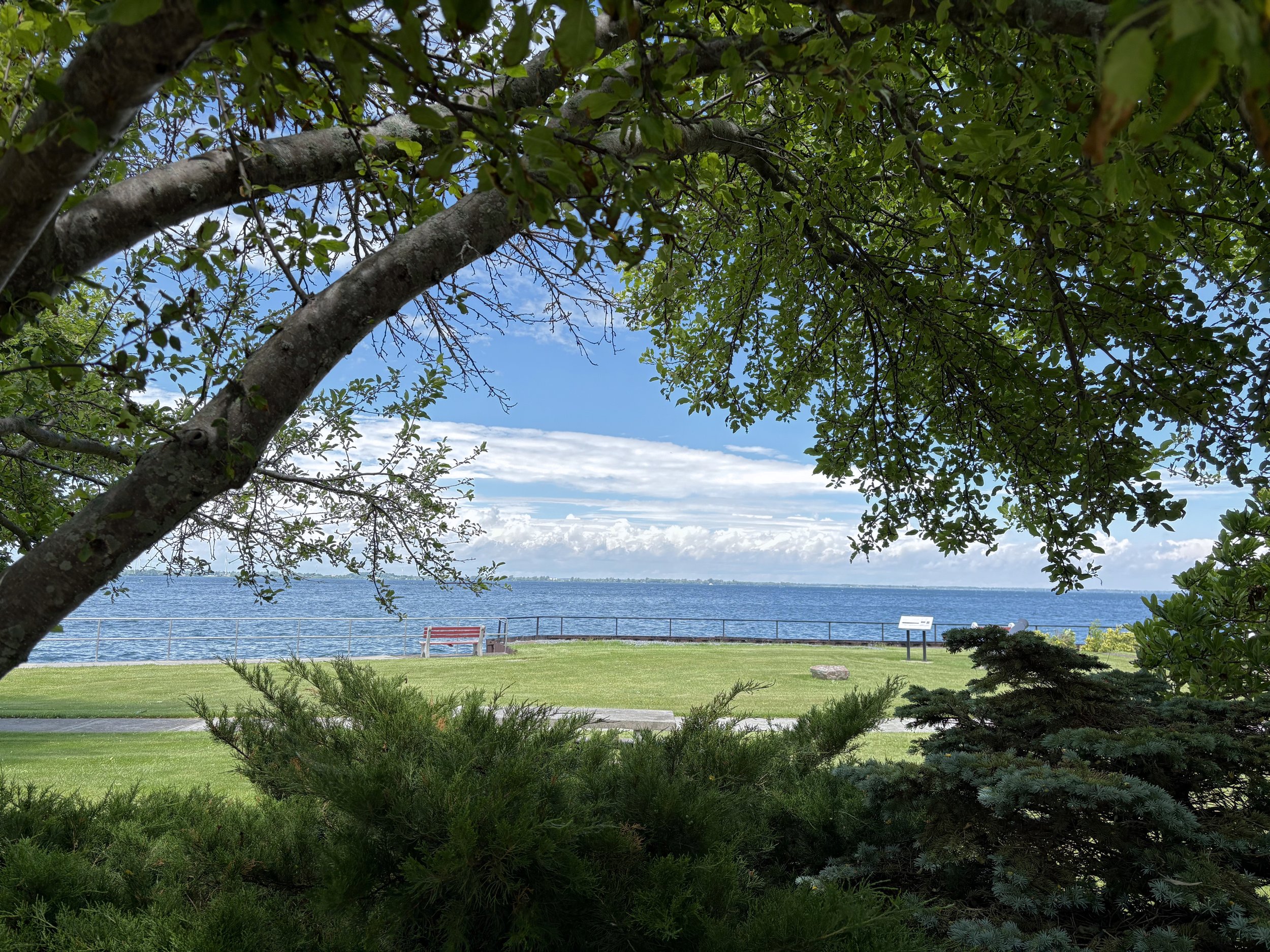 View of a lakeside park with green lawn, trees, a bench, and a metal railing overlooking water under a partly cloudy sky.