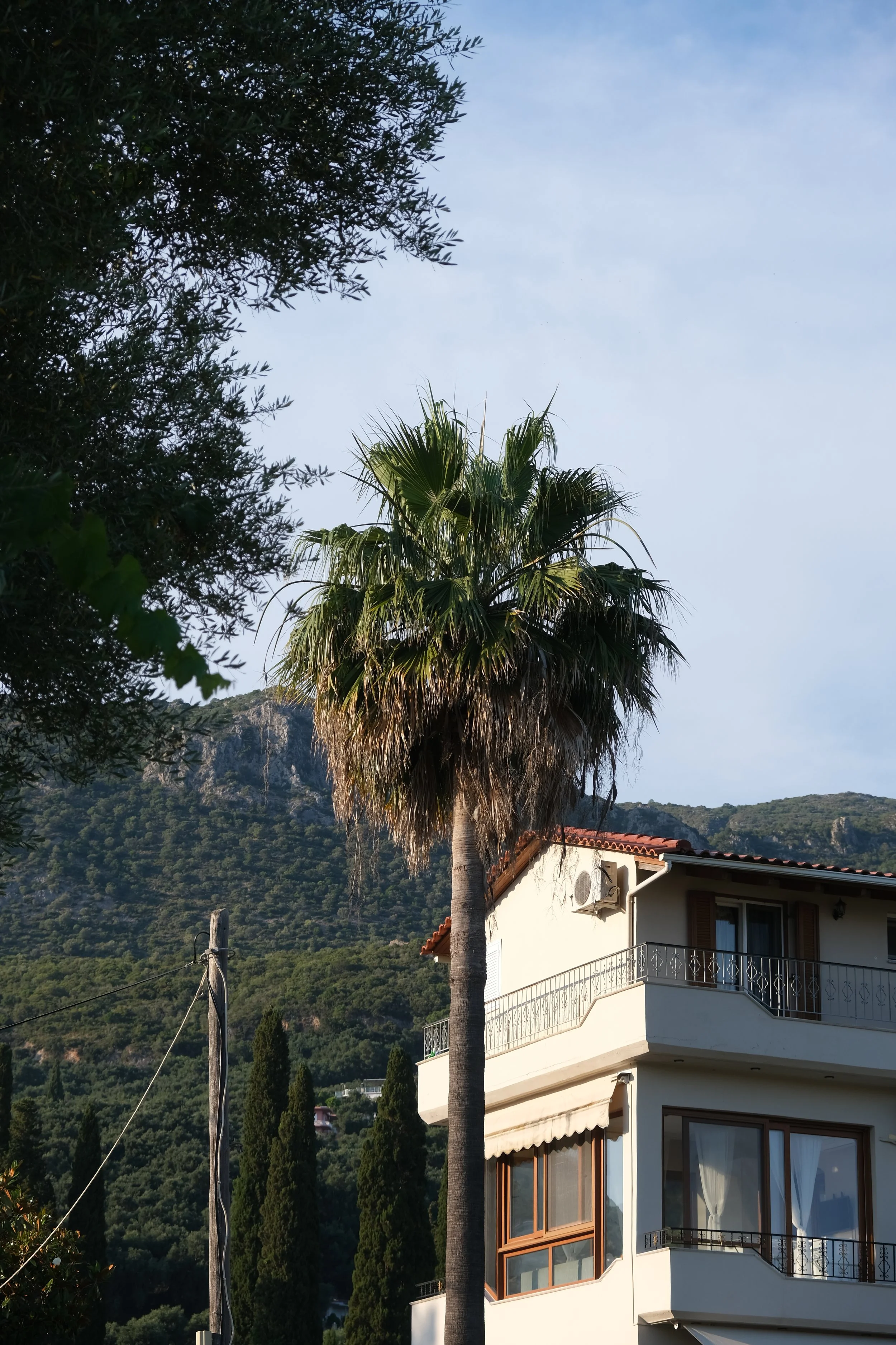 DSCF4368.JPG