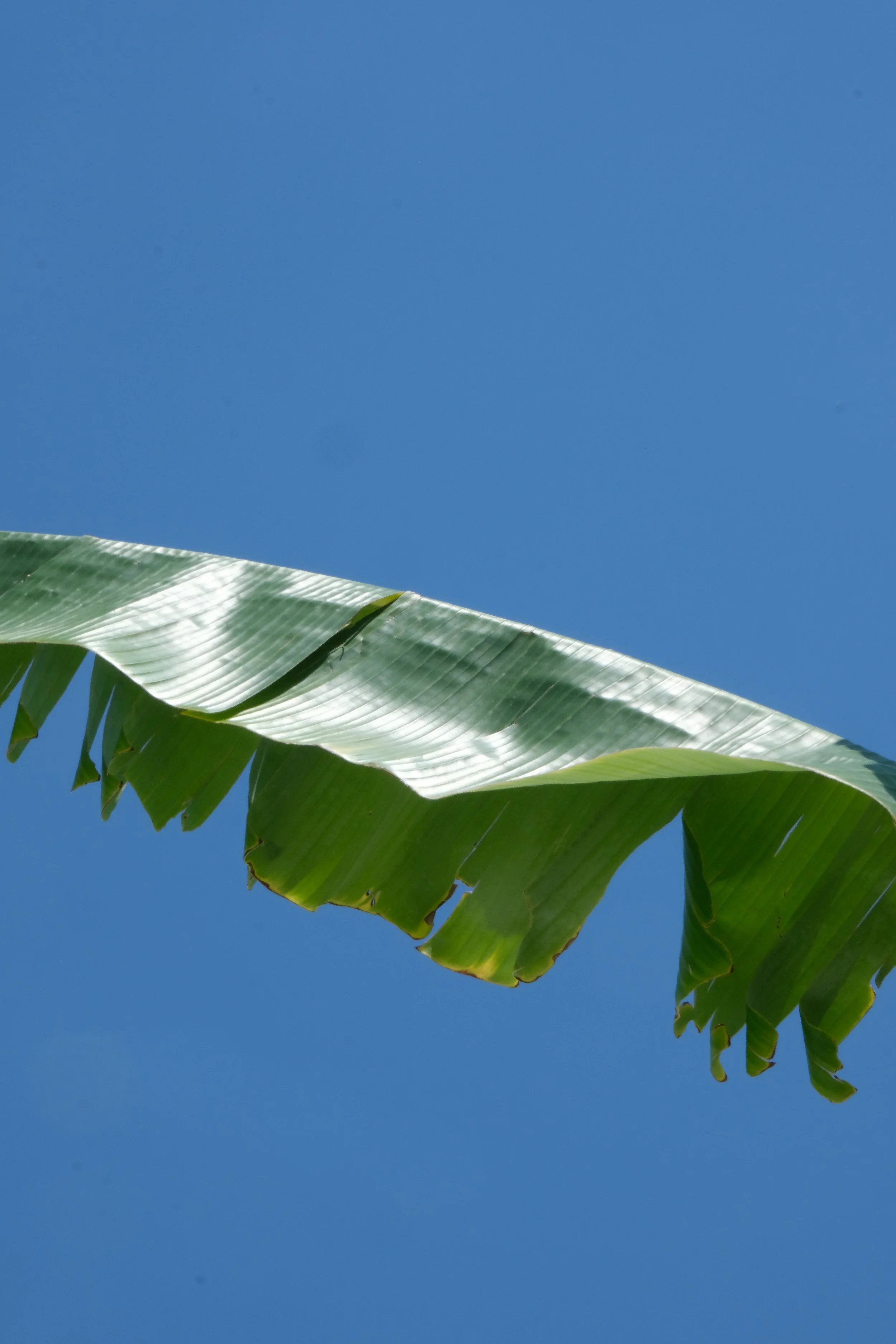 DSCF4294.JPG