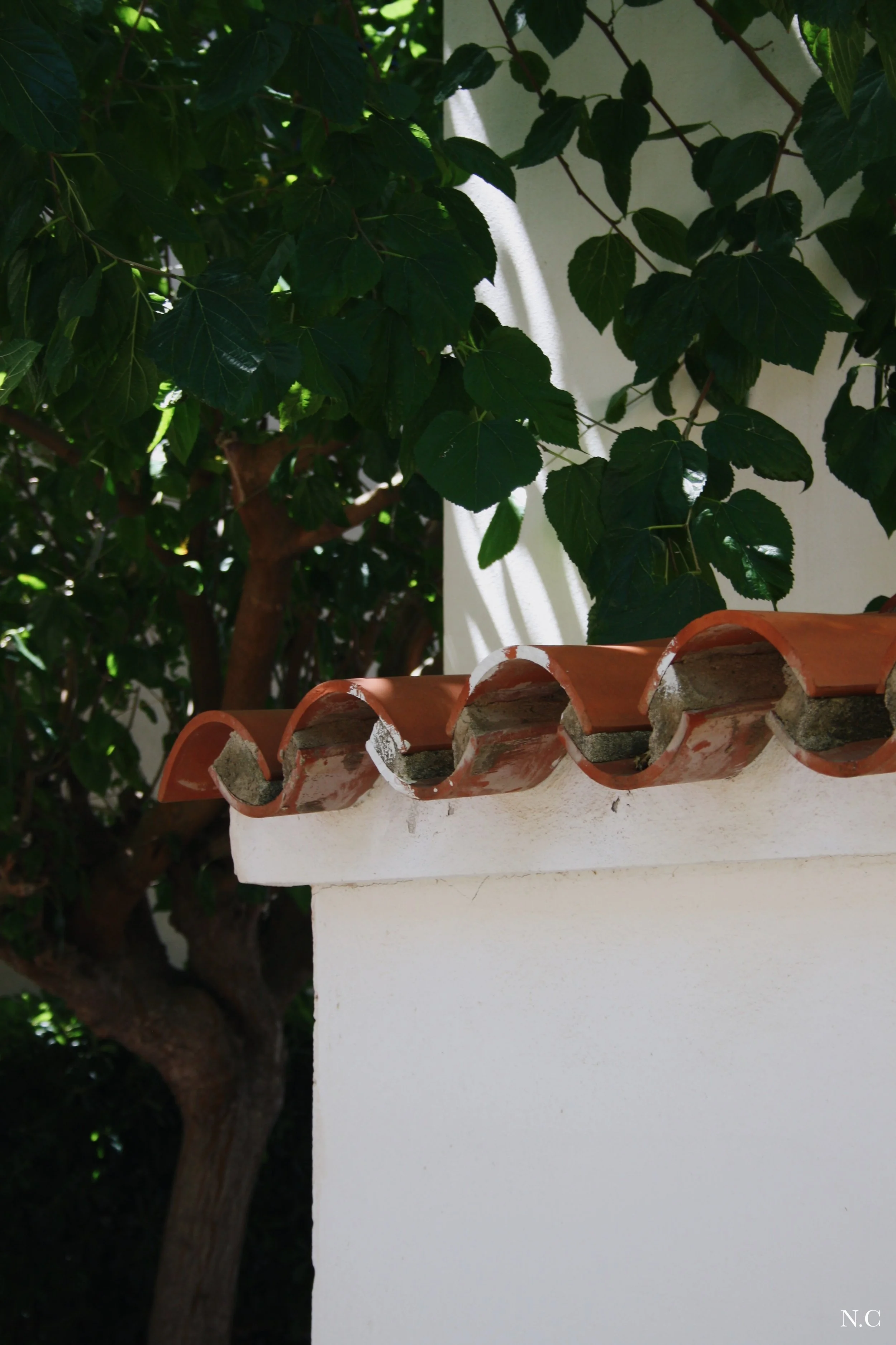 Menorca - 9.JPG