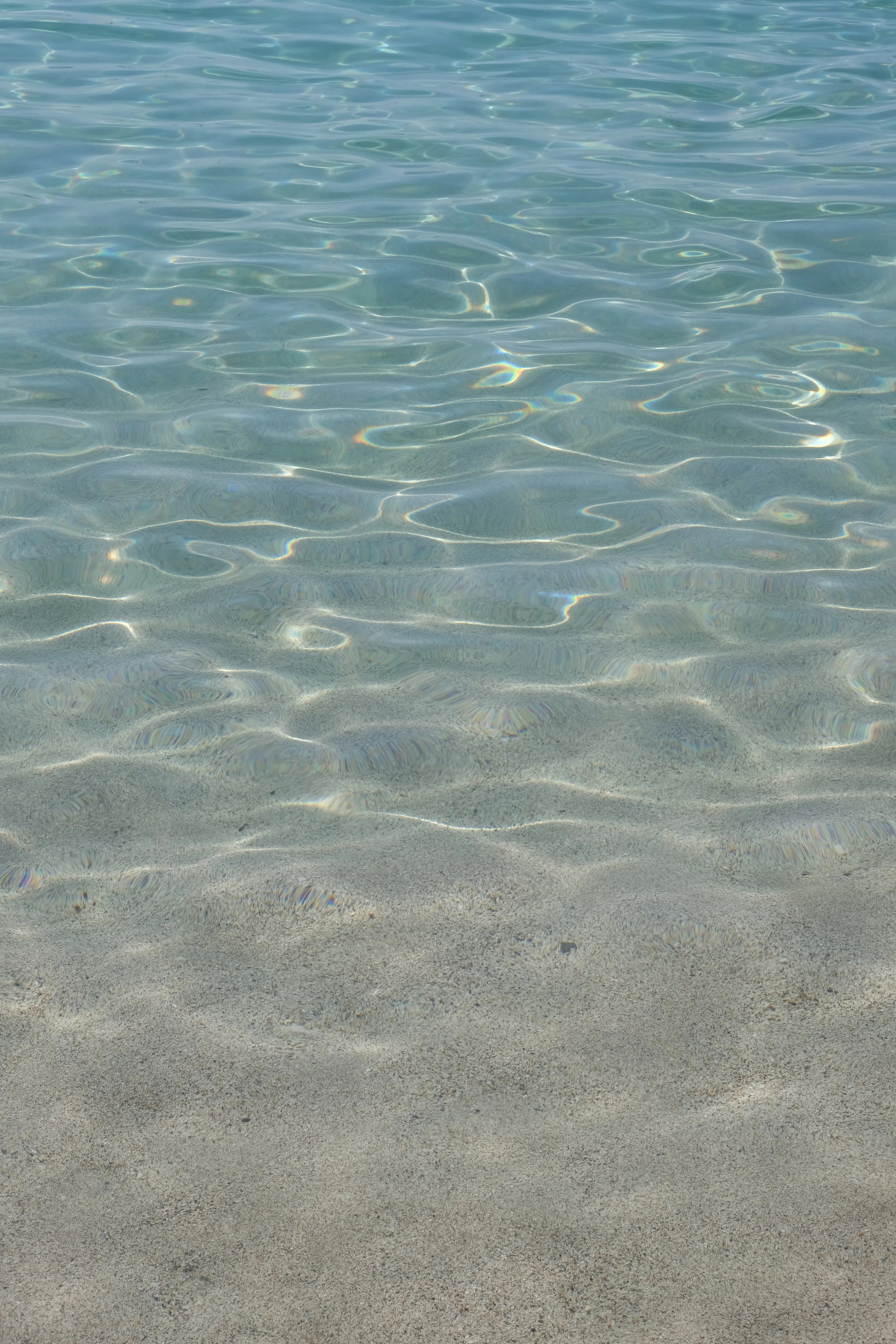 DSCF4223.JPG
