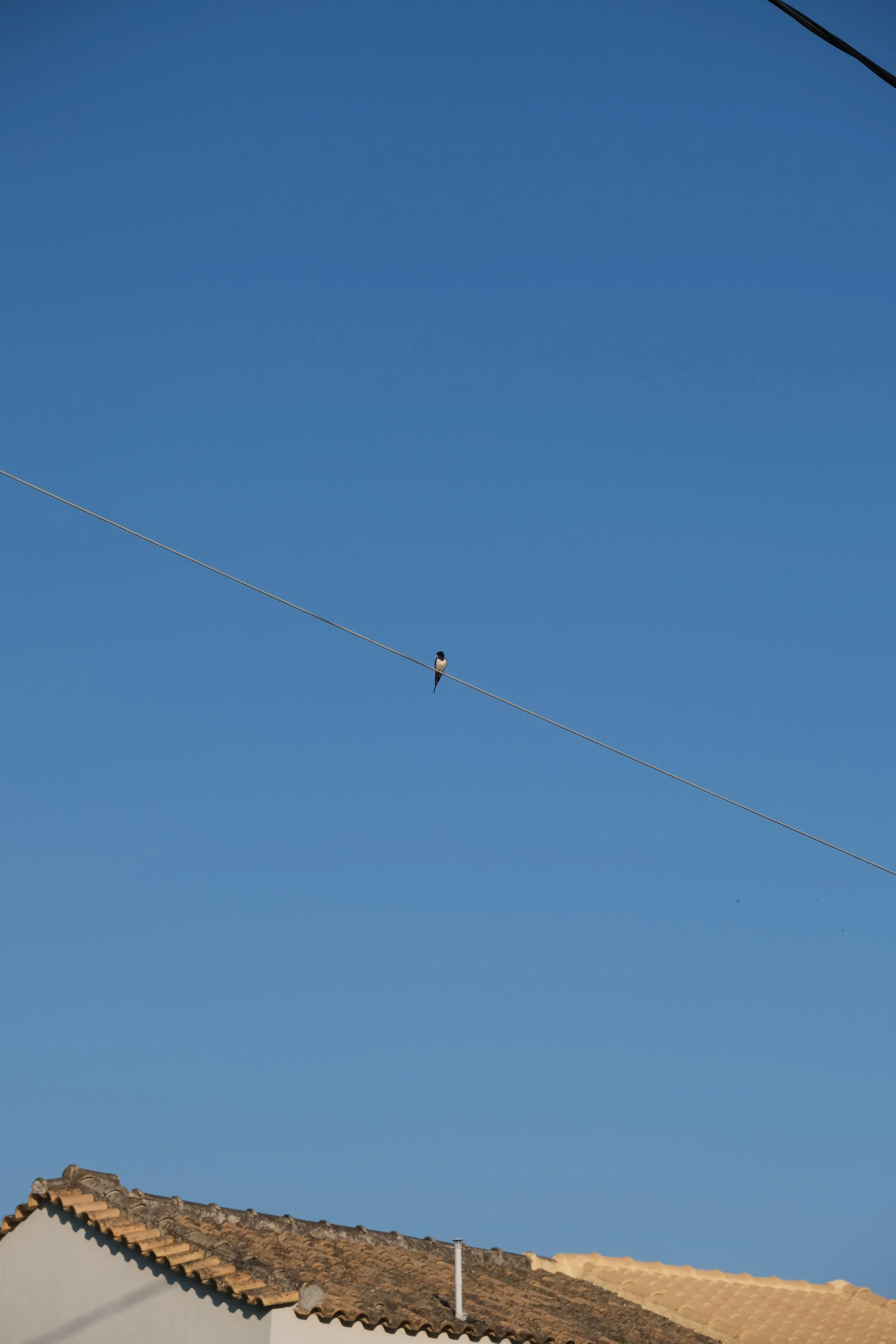 DSCF4365.JPG
