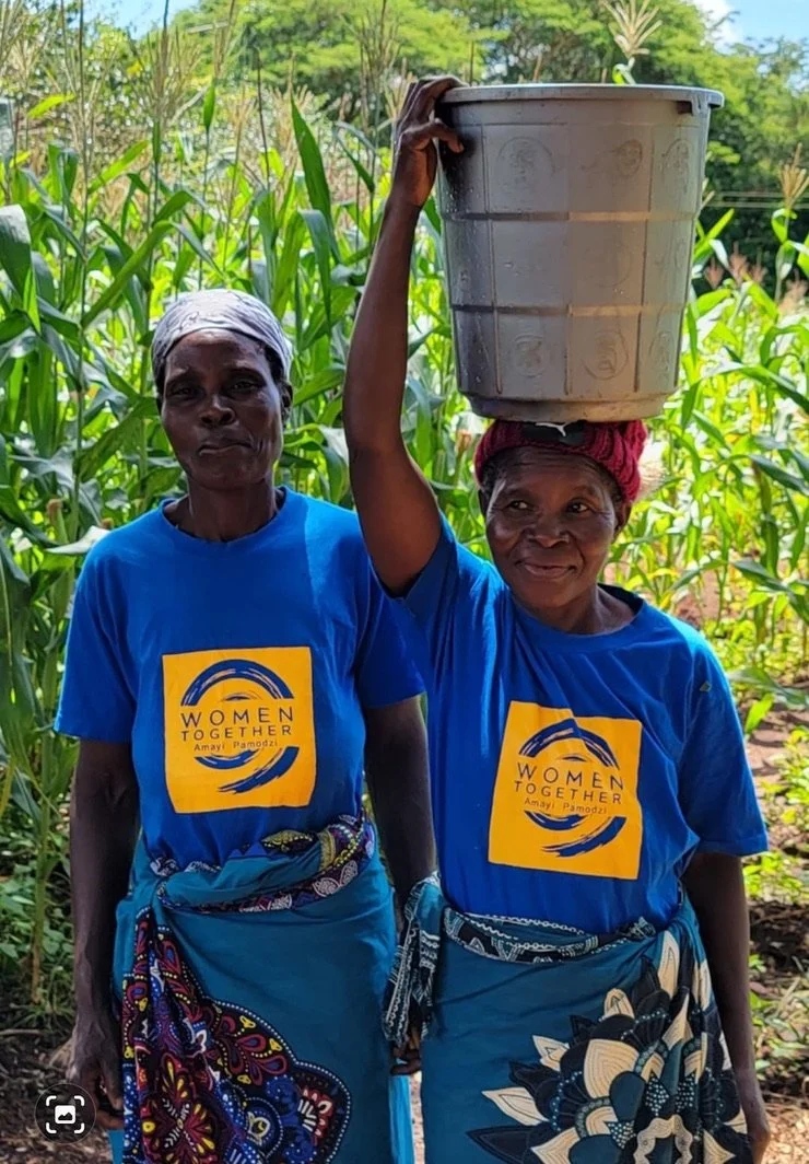 Copy of F4F3C28B-A582-4383-AD8E-87AA72013138_1_105_c.jpeg