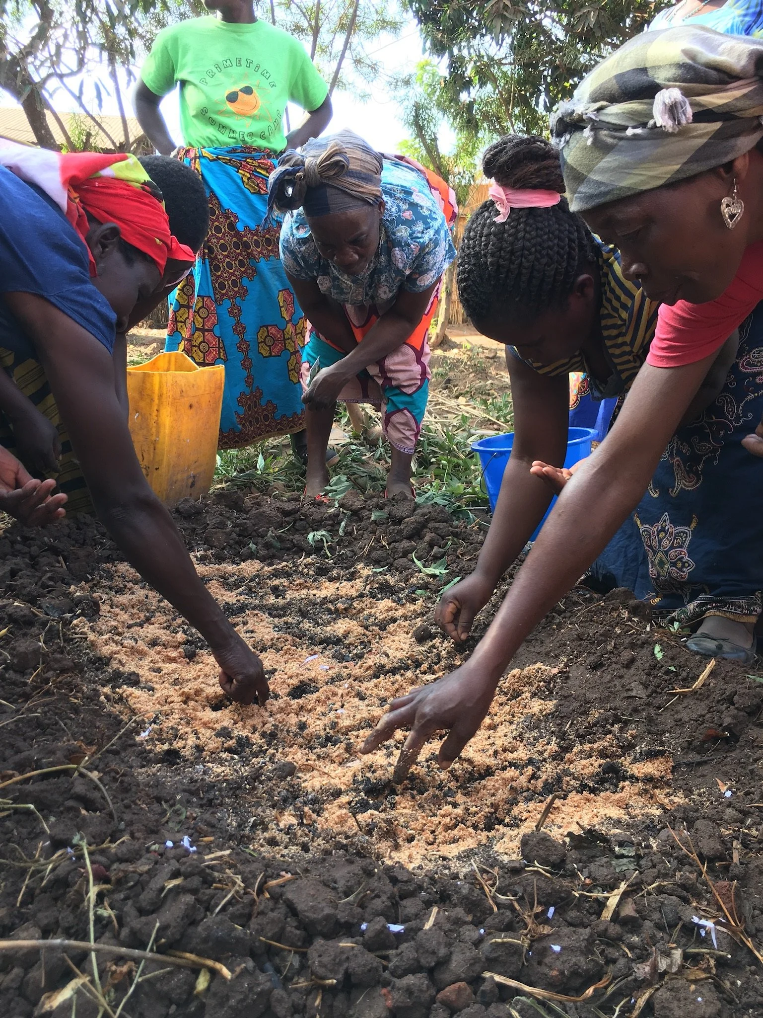 Copy of IMG_9743.JPG