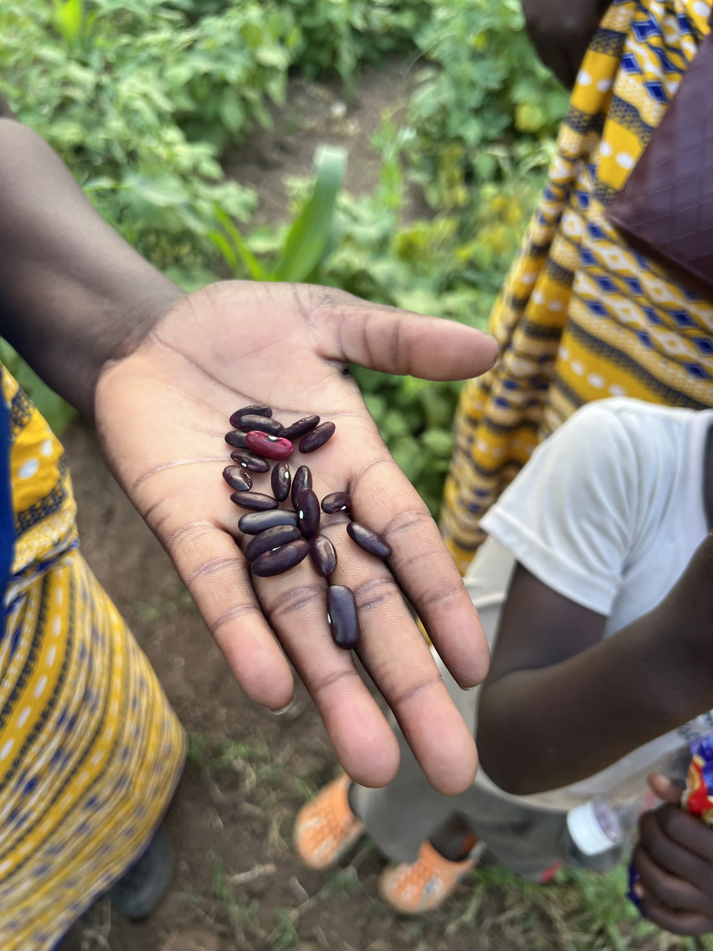 Copy of IMG_8341.jpeg