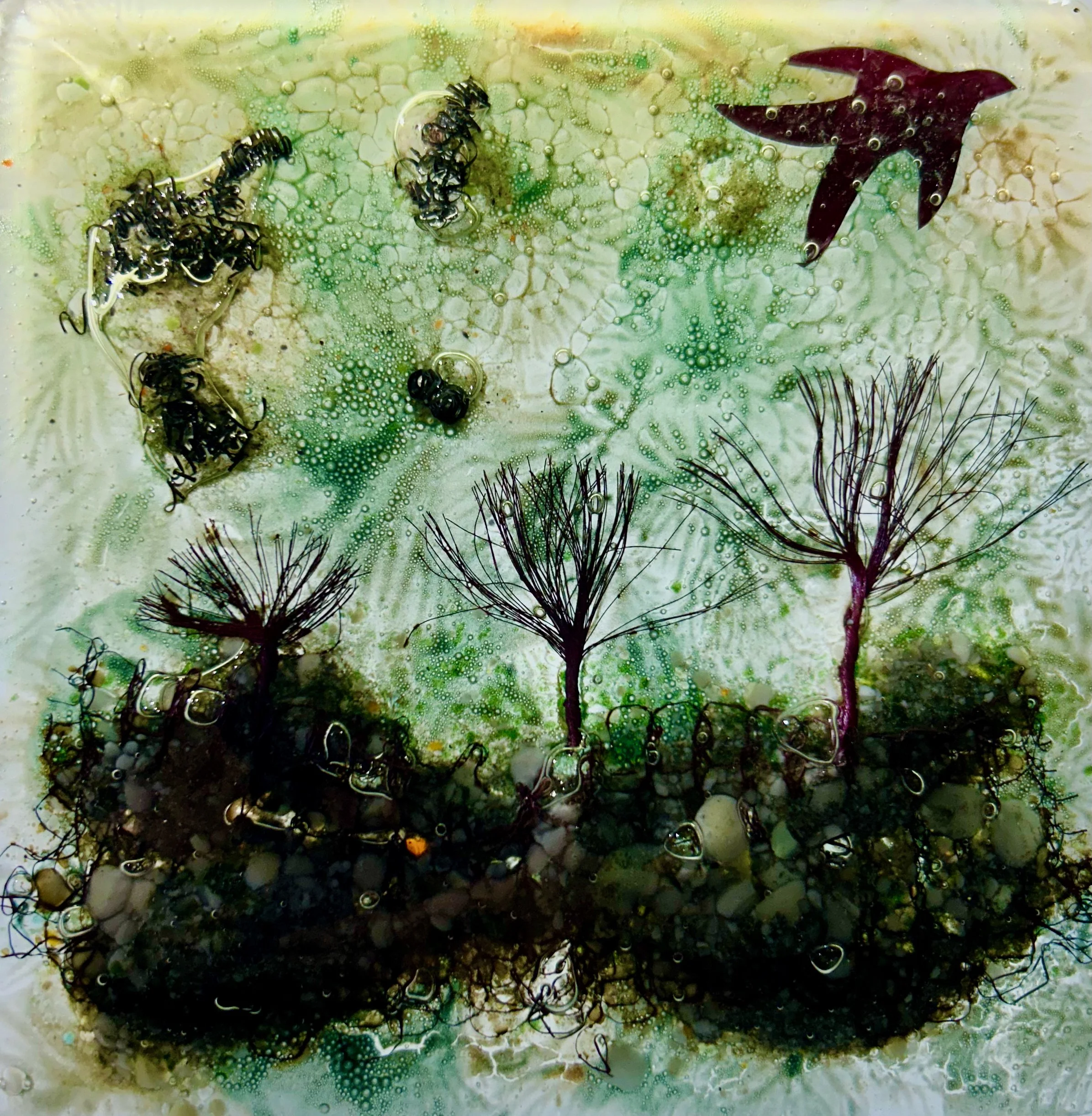 Decorative tile 16mm x 16mm
Coloured glass with glass frit & inclusions of silver leaf, copper foil, tin & copper wire
Inspired by a walk around the garden in the autumn