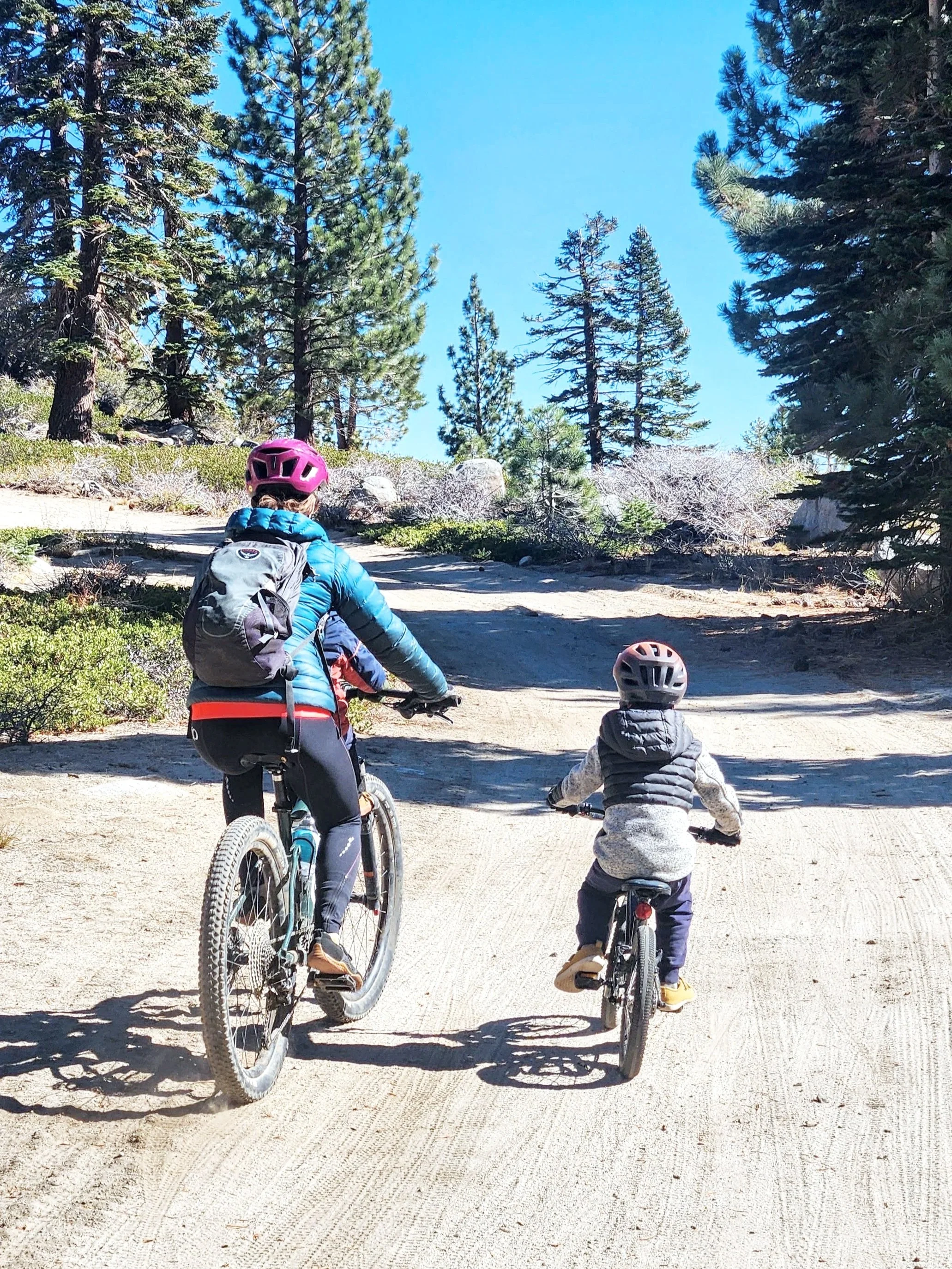 A woman and a young child riding mountain bikes with helmets on, on a dirt trail surrounded by tall pine trees and under a clear blue sky.