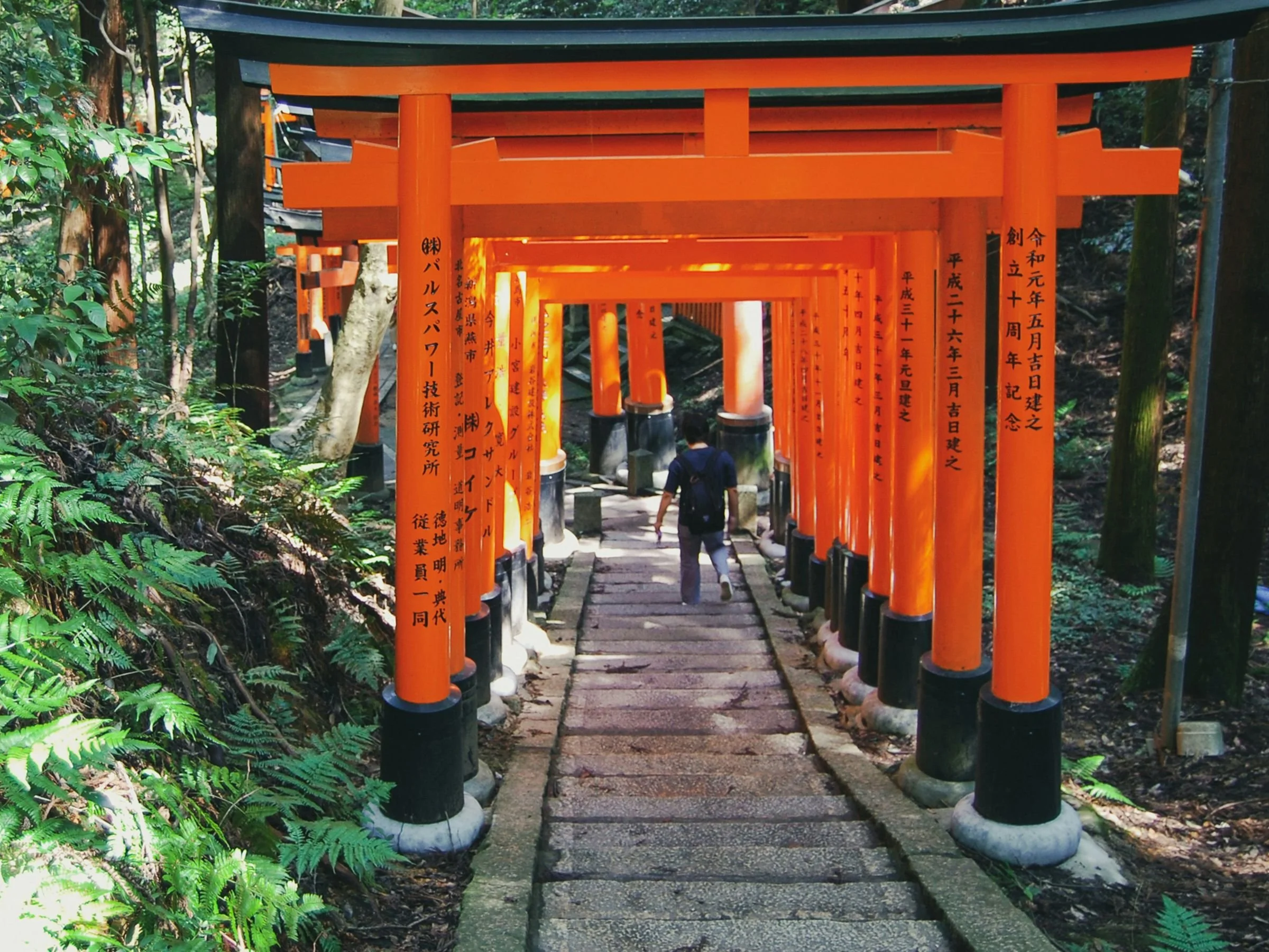 Why Kyoto Should Be Your Next Luxury Escape (And How to Do It Right)