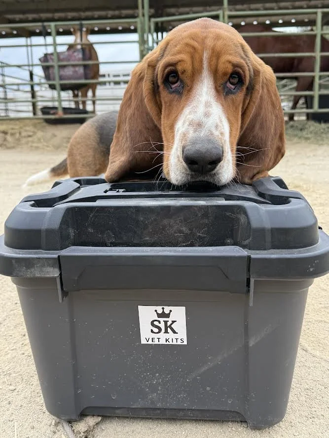 The Working/Hunting Dog Kit