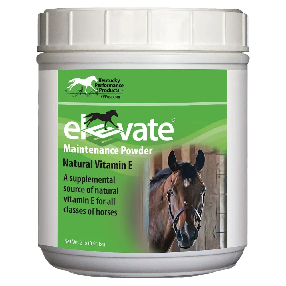 Elevate Maintenance Powder, Natural Vitamin E Supplement for Horses