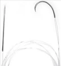 Suture with Cruciate and Straight Needles