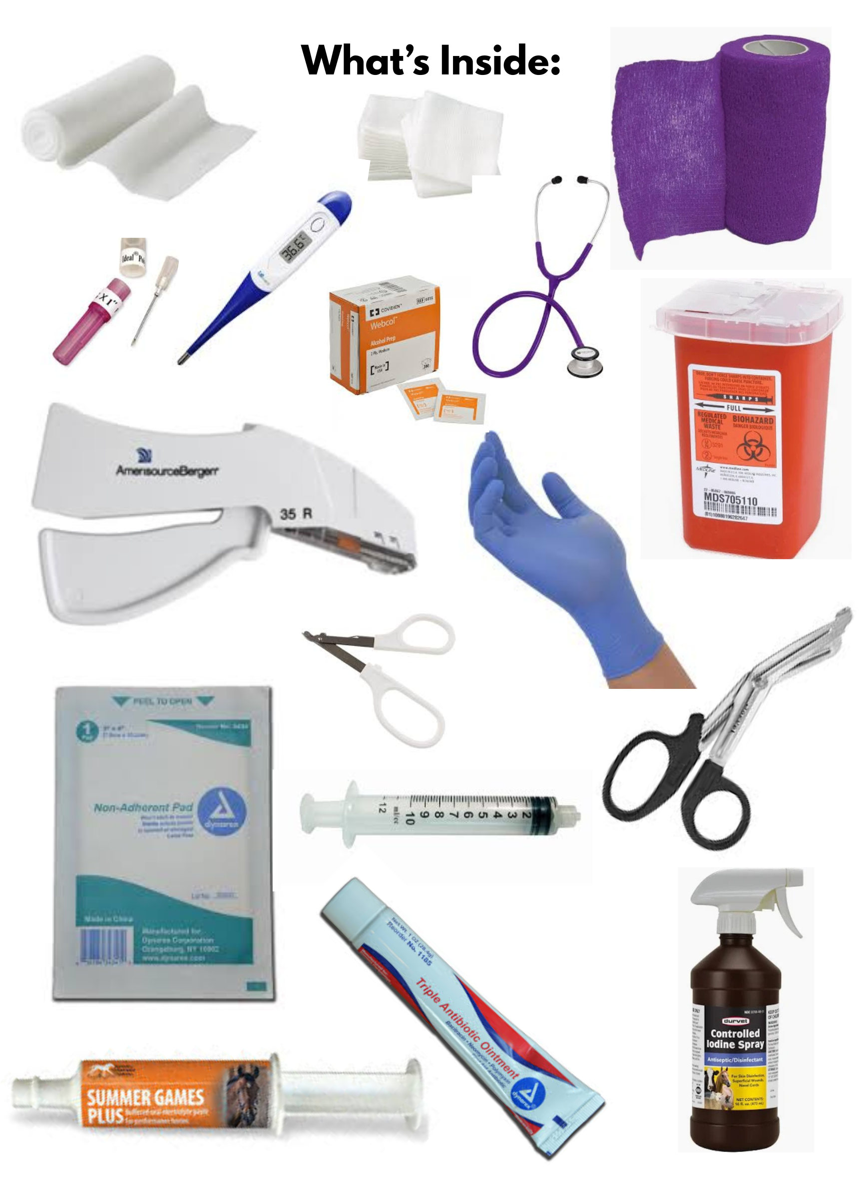 The Starter Kit Day Tripper.png