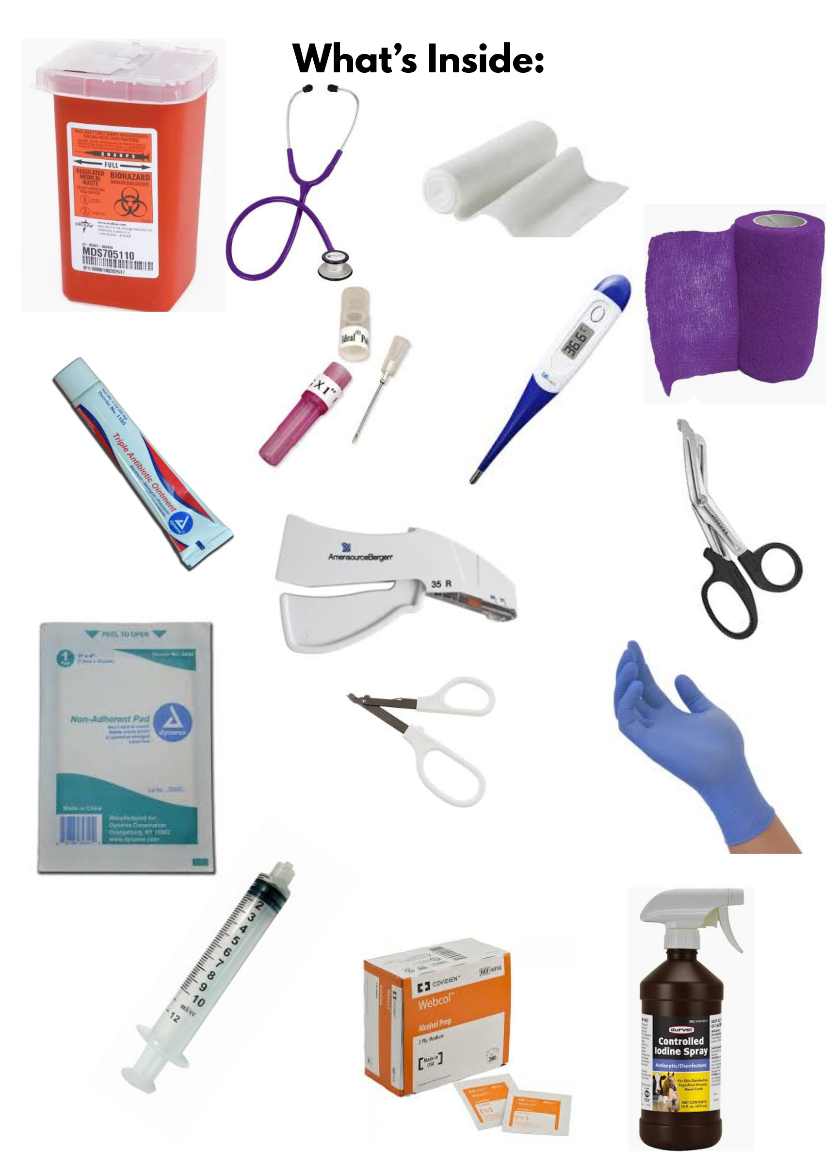 The decked Equine Kit.png