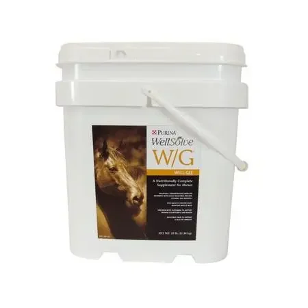 WellSolve W/G Well Gel Complete Supplement for Horses (25lb)