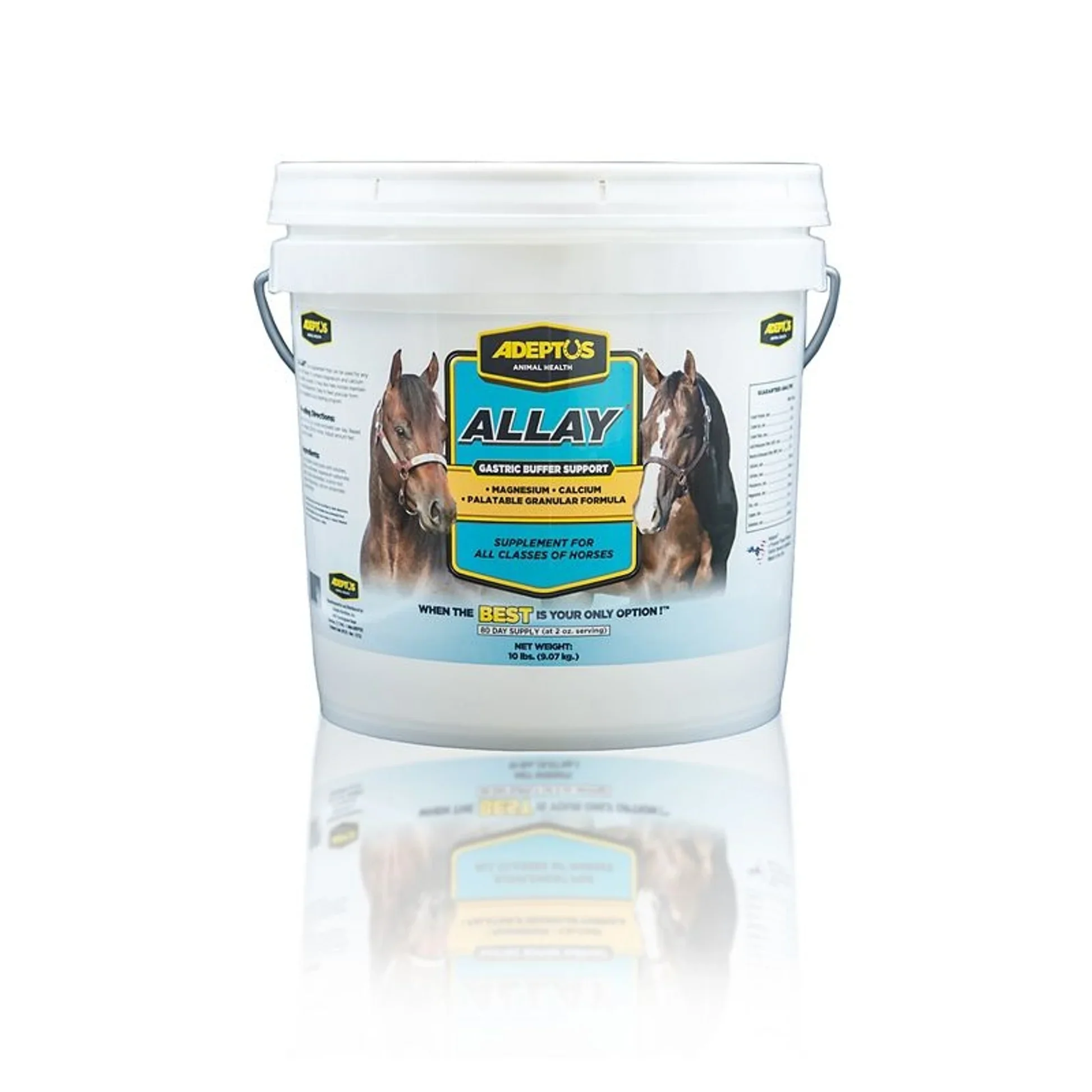 Allay Nutritional Supplement For Horses (10 lb)