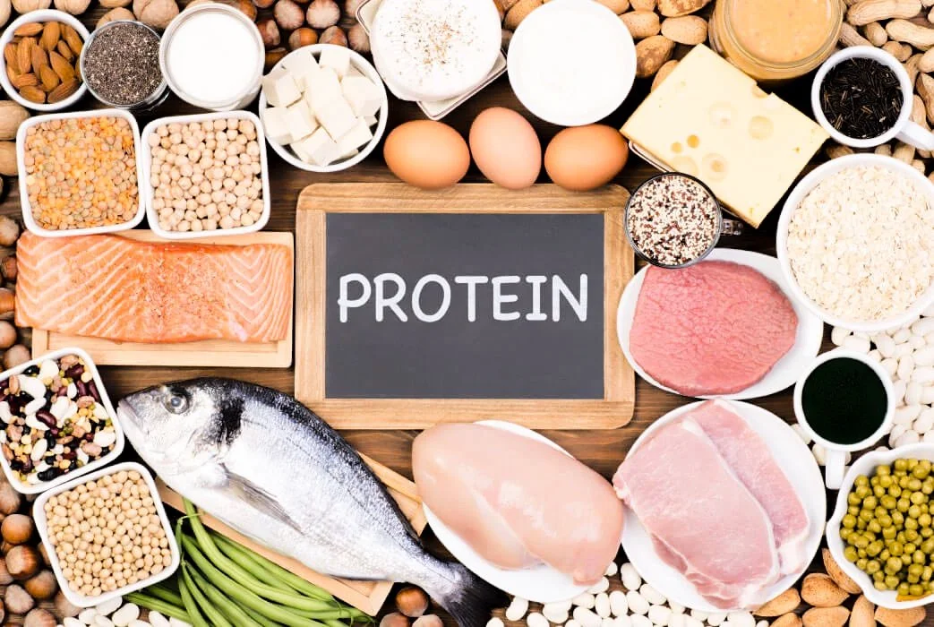 High-protein foods including fish, meat, eggs, beans, and dairy arranged around the word “protein.”