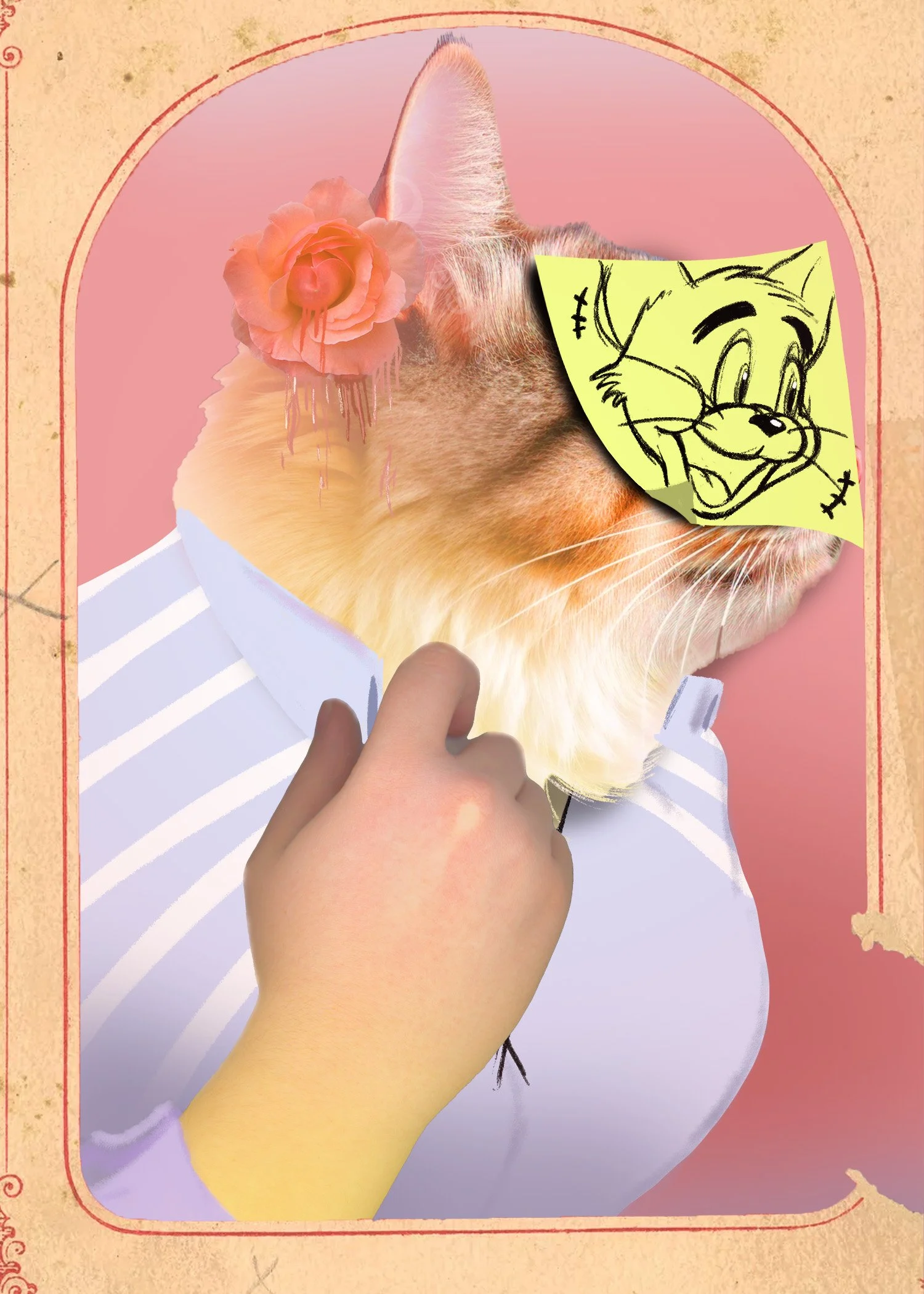 Cat_Demonstration copy.jpg