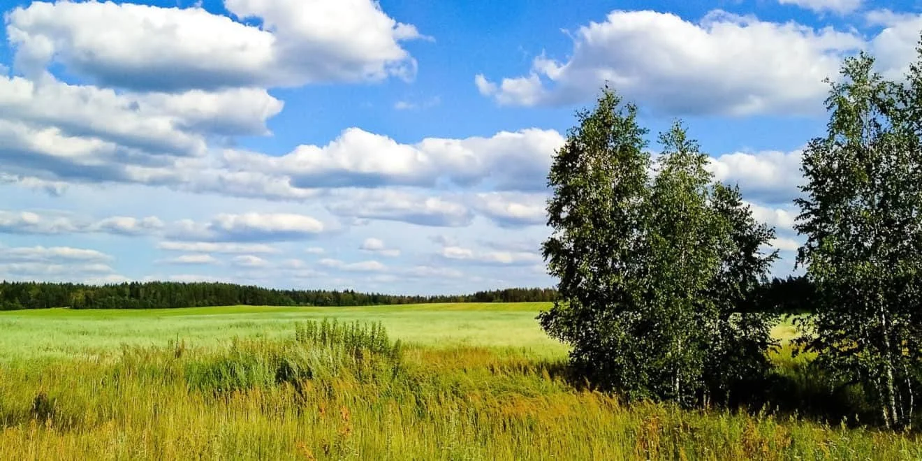 Land for sale. Buying land. Building a home. Realtor. Real Estate Agent. Selling land. How to buy land. How to sell land.