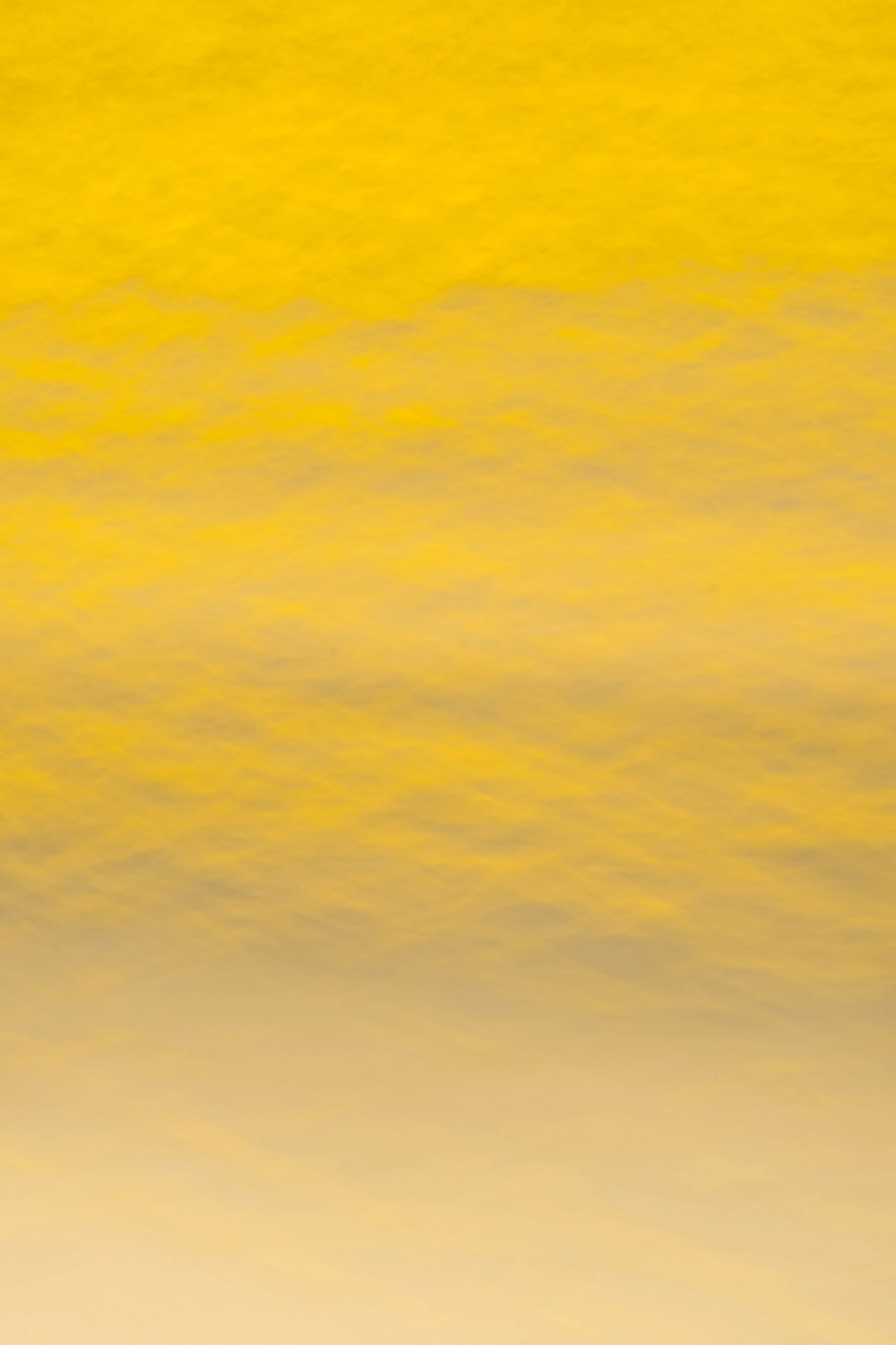 _ARM0475.jpg
