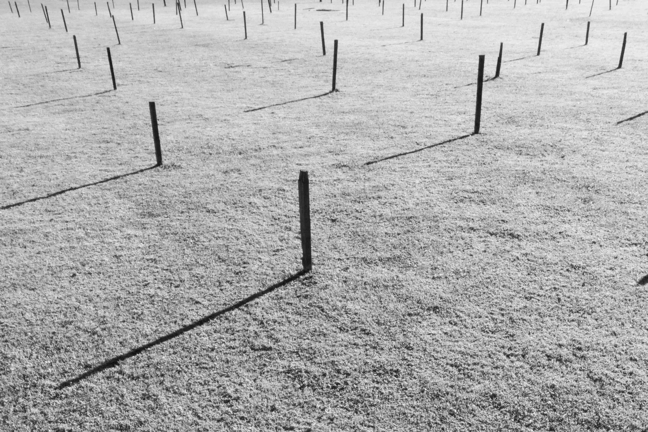 A barren, star-shaped salt flat with numerous black wooden sticks embedded in the surface, creating shadows on the ground.