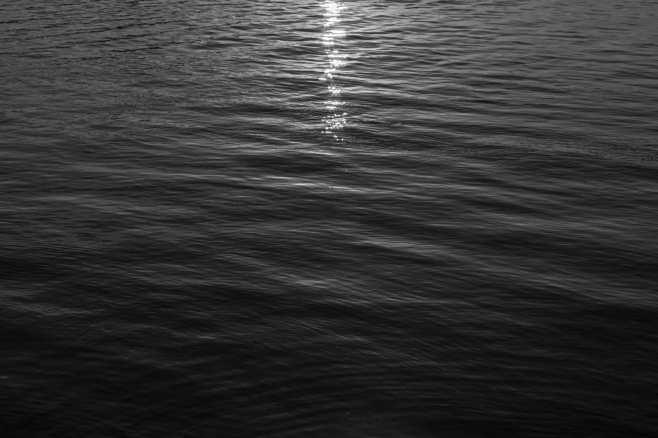 _DSC9614.jpg