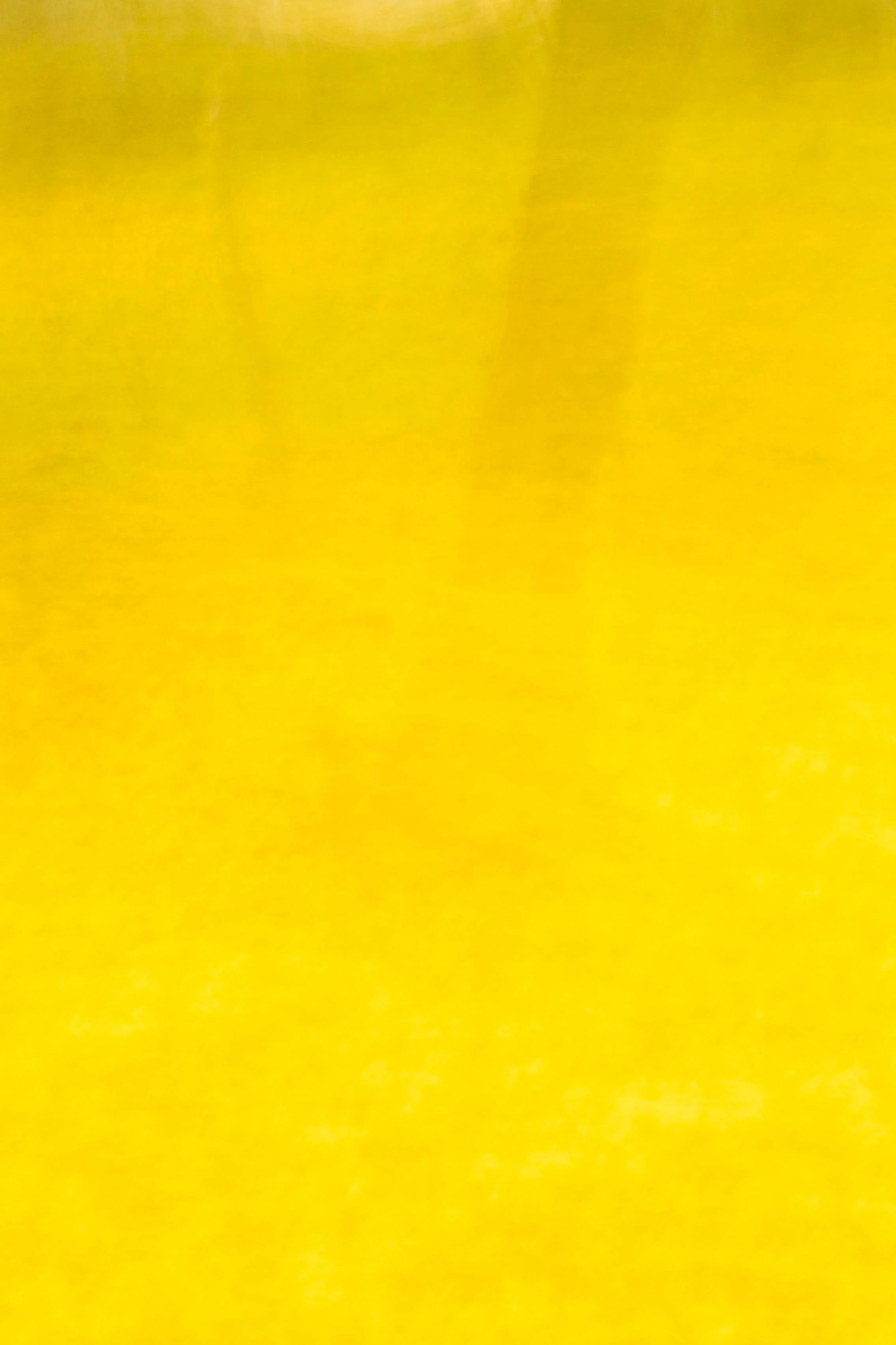 _ARM0431.jpg