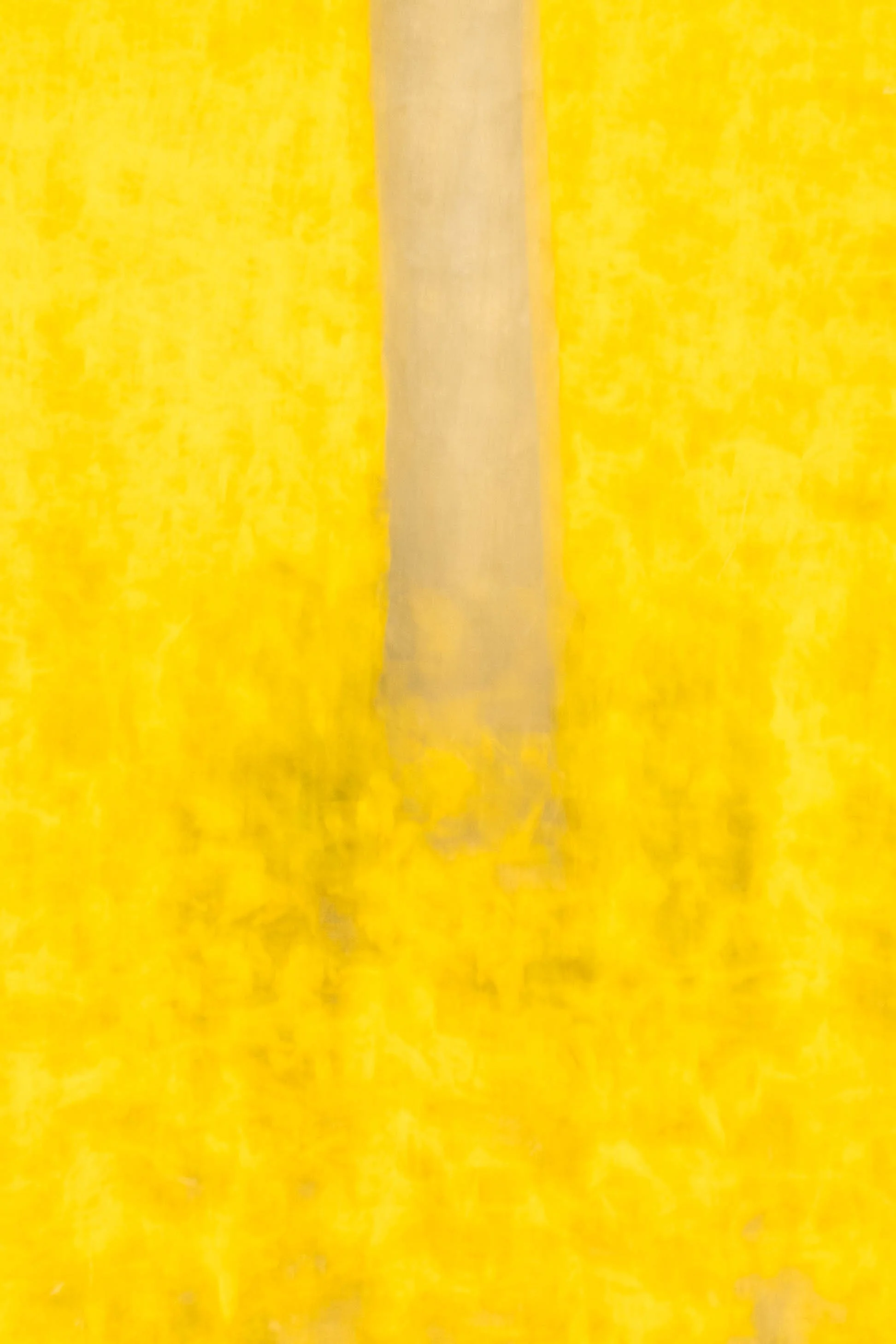 _ARM0461.jpg