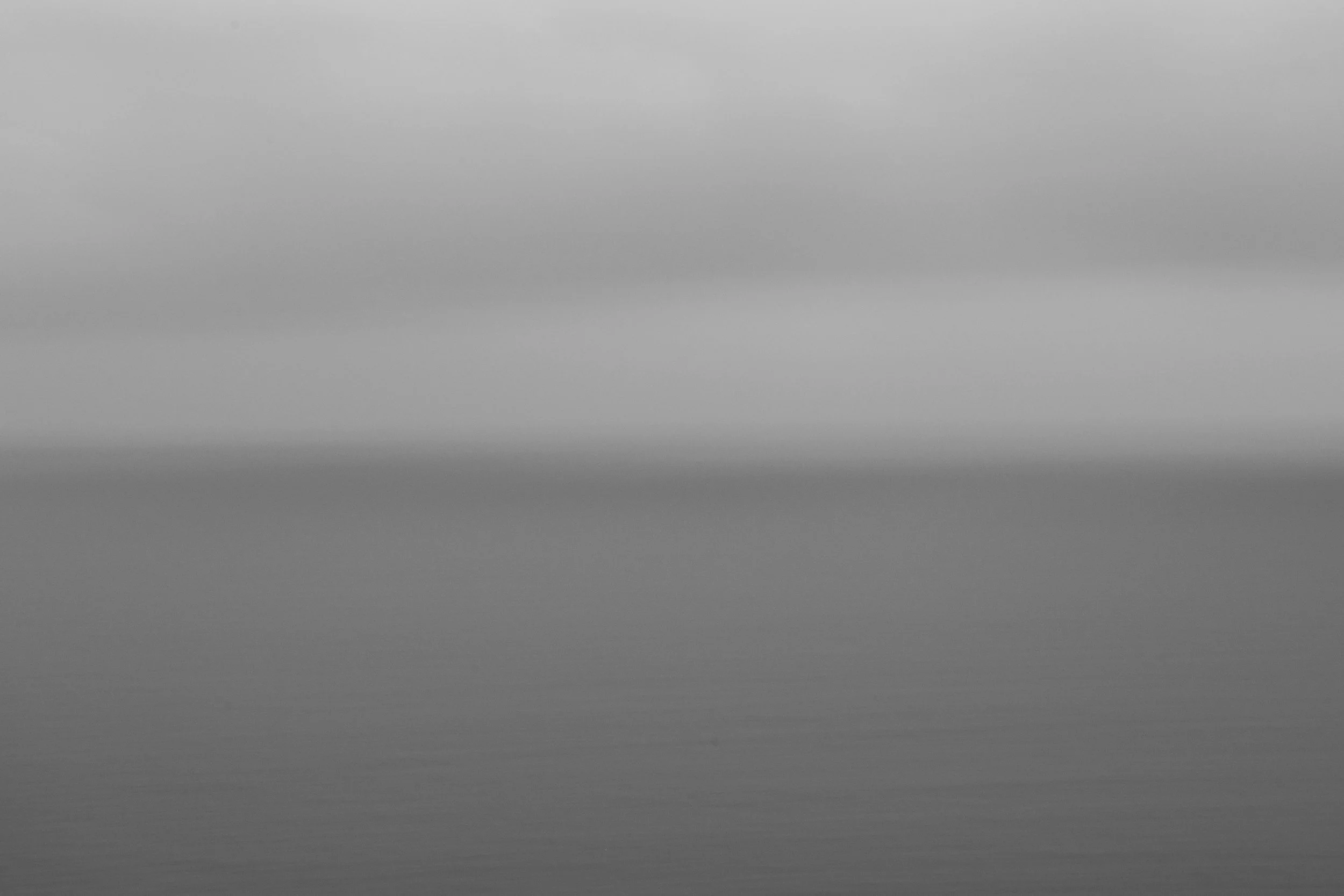 _DSC0111.jpg