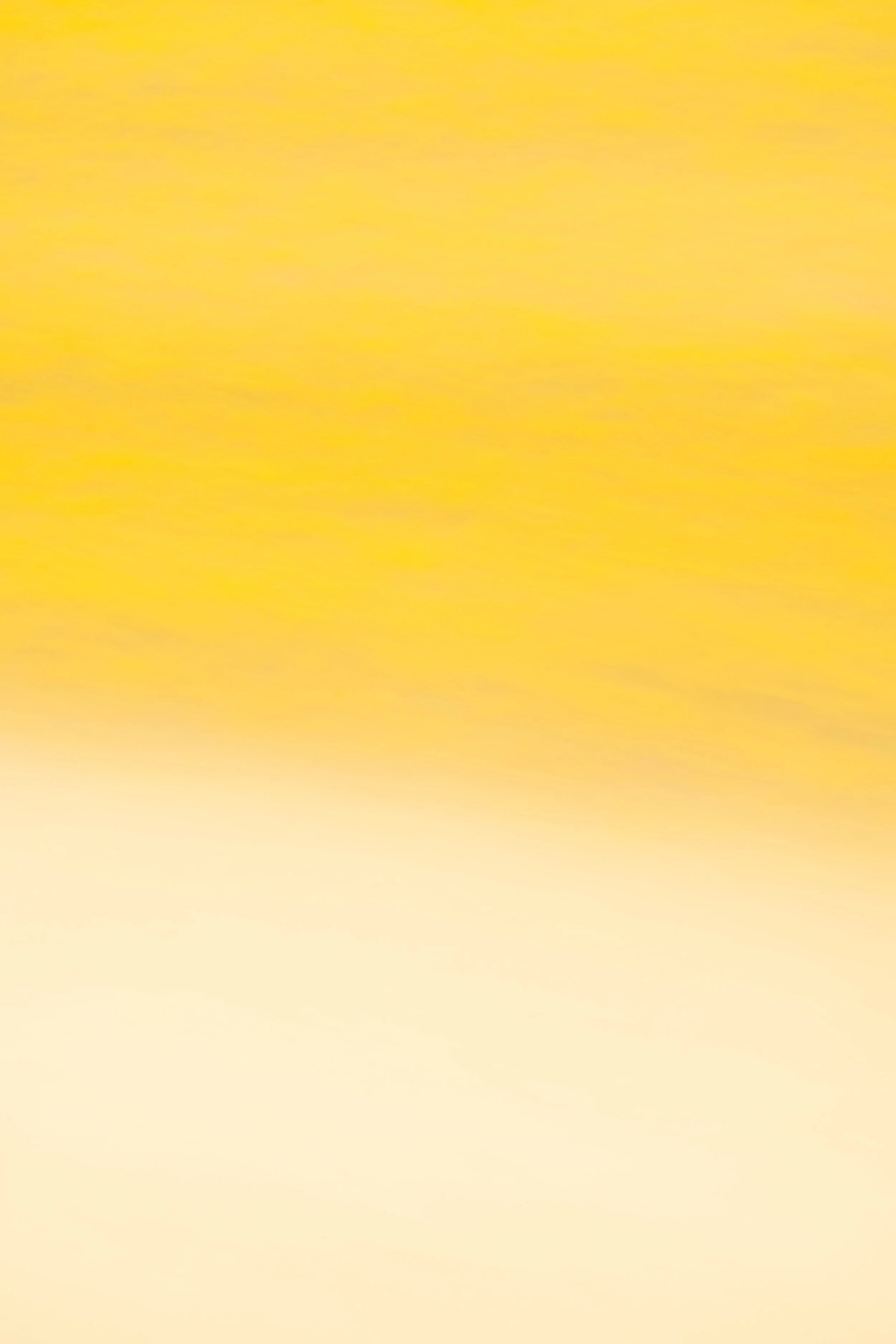 _ARM0477.jpg