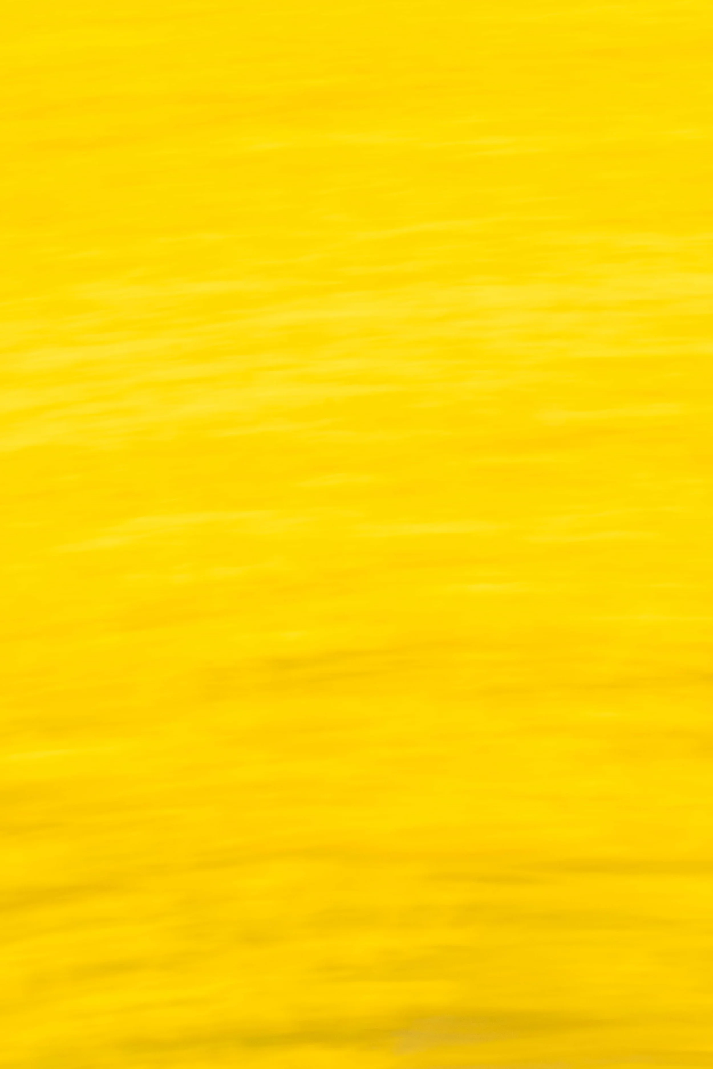 _ARM0415.jpg