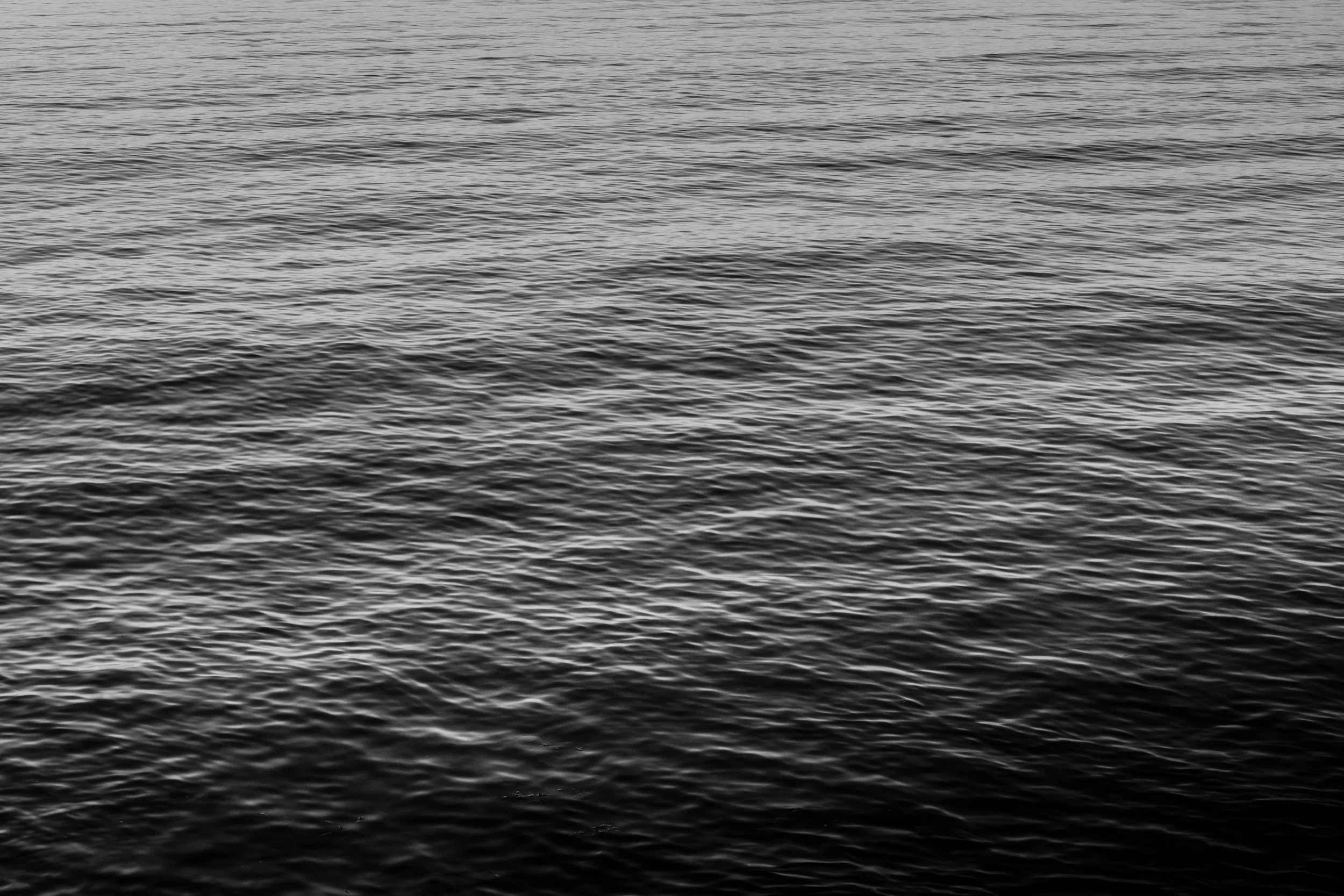 _DSC5804.jpg