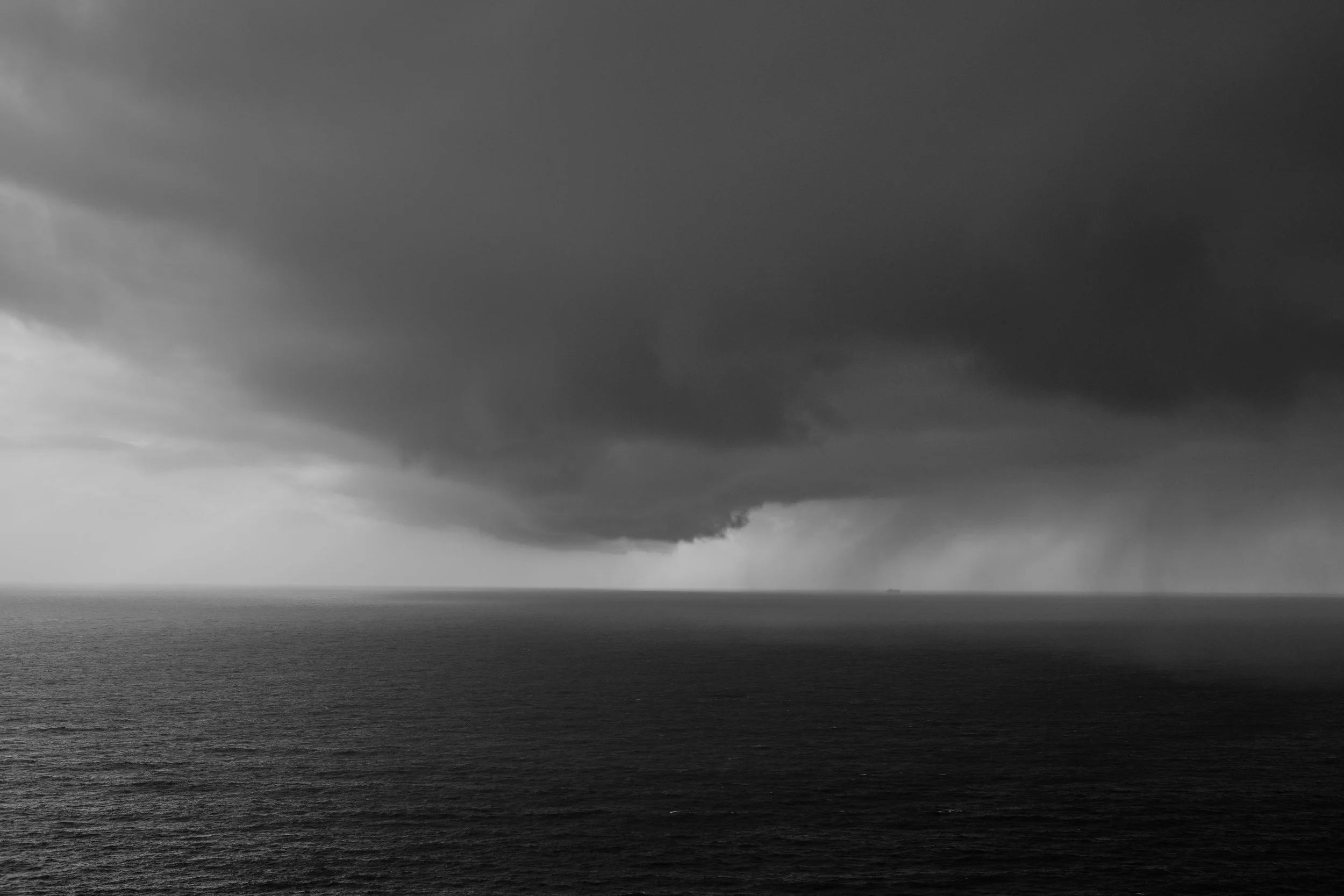 _DSC2905.jpg