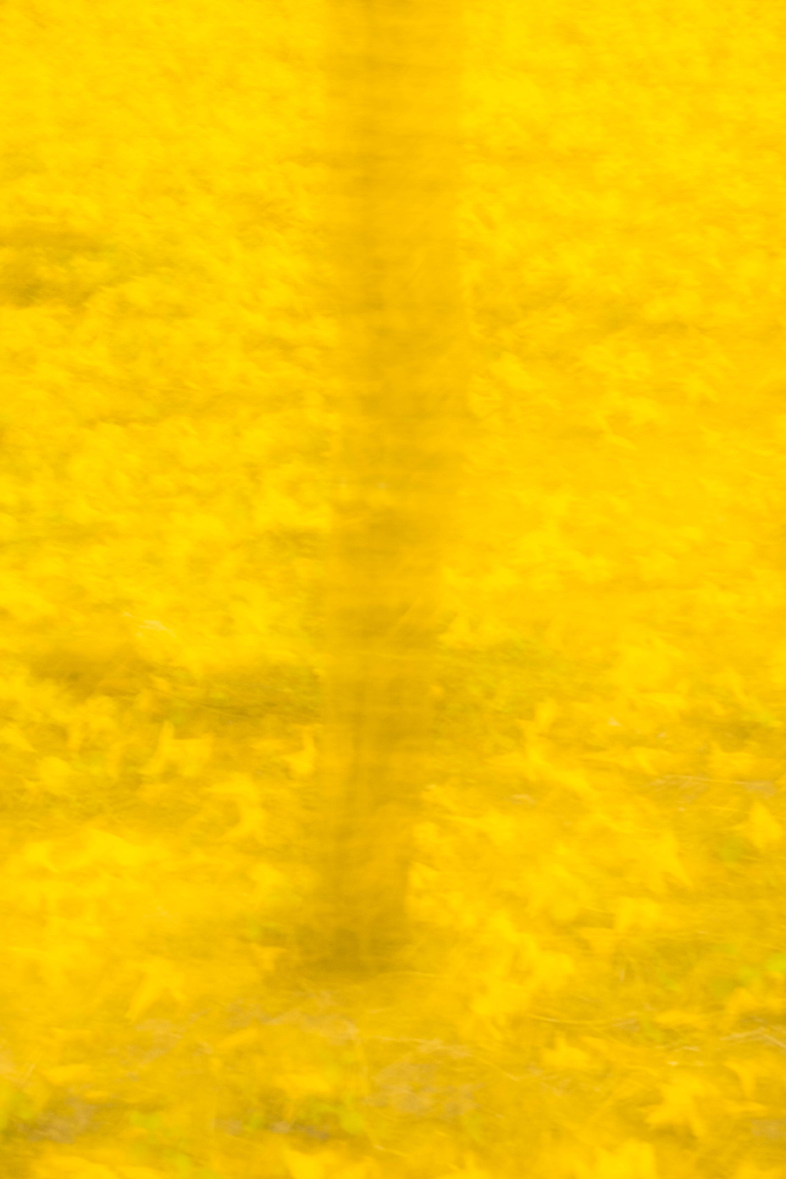 _ARM0412.jpg