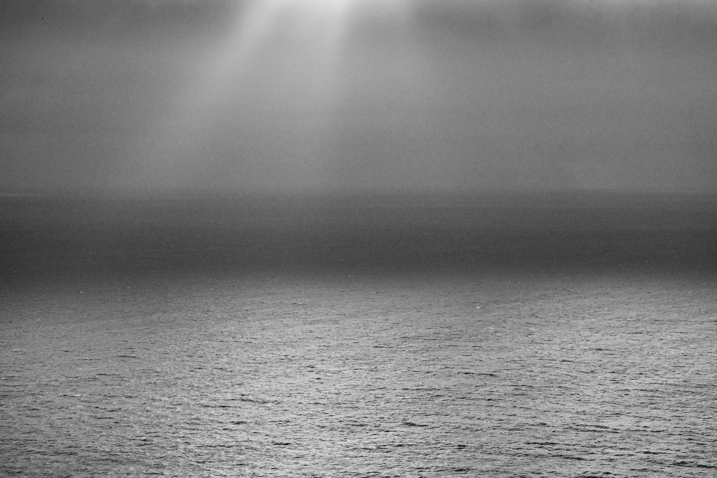 _DSC8559.jpg
