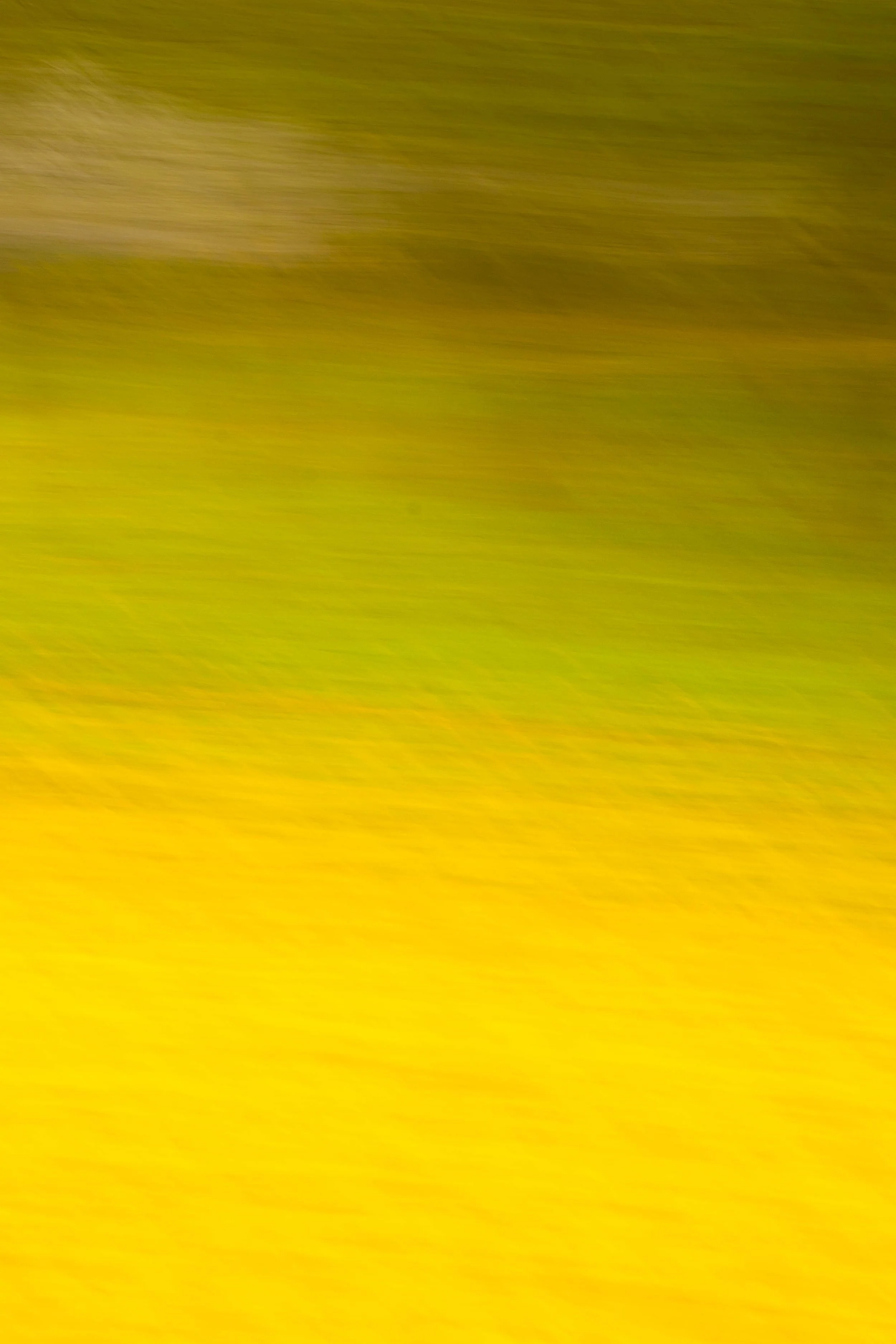 _ARM0422.jpg