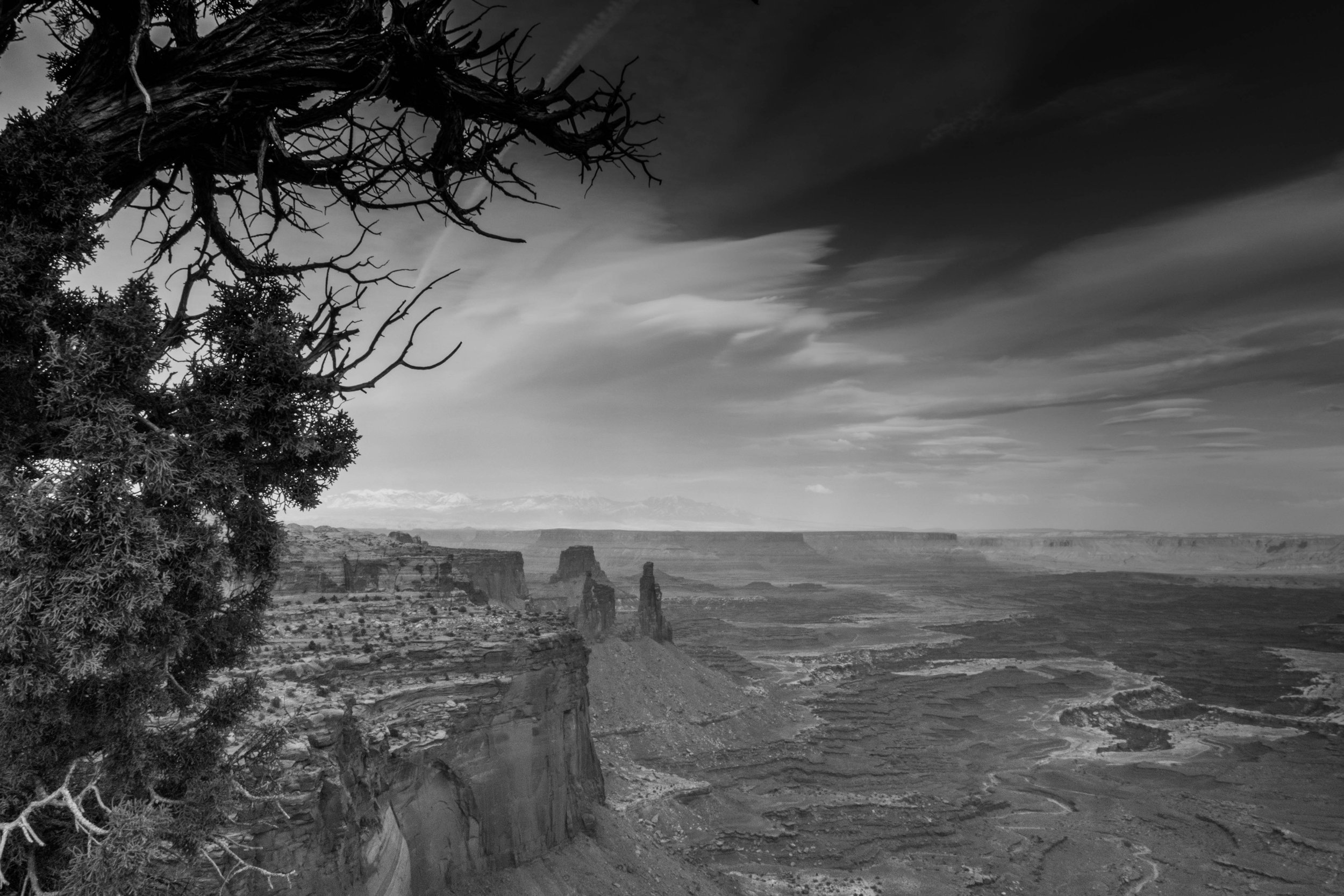 Black and white landscape photo of a canyon with steep cliffs, trees in the foreground, and dramatic sky with clouds.