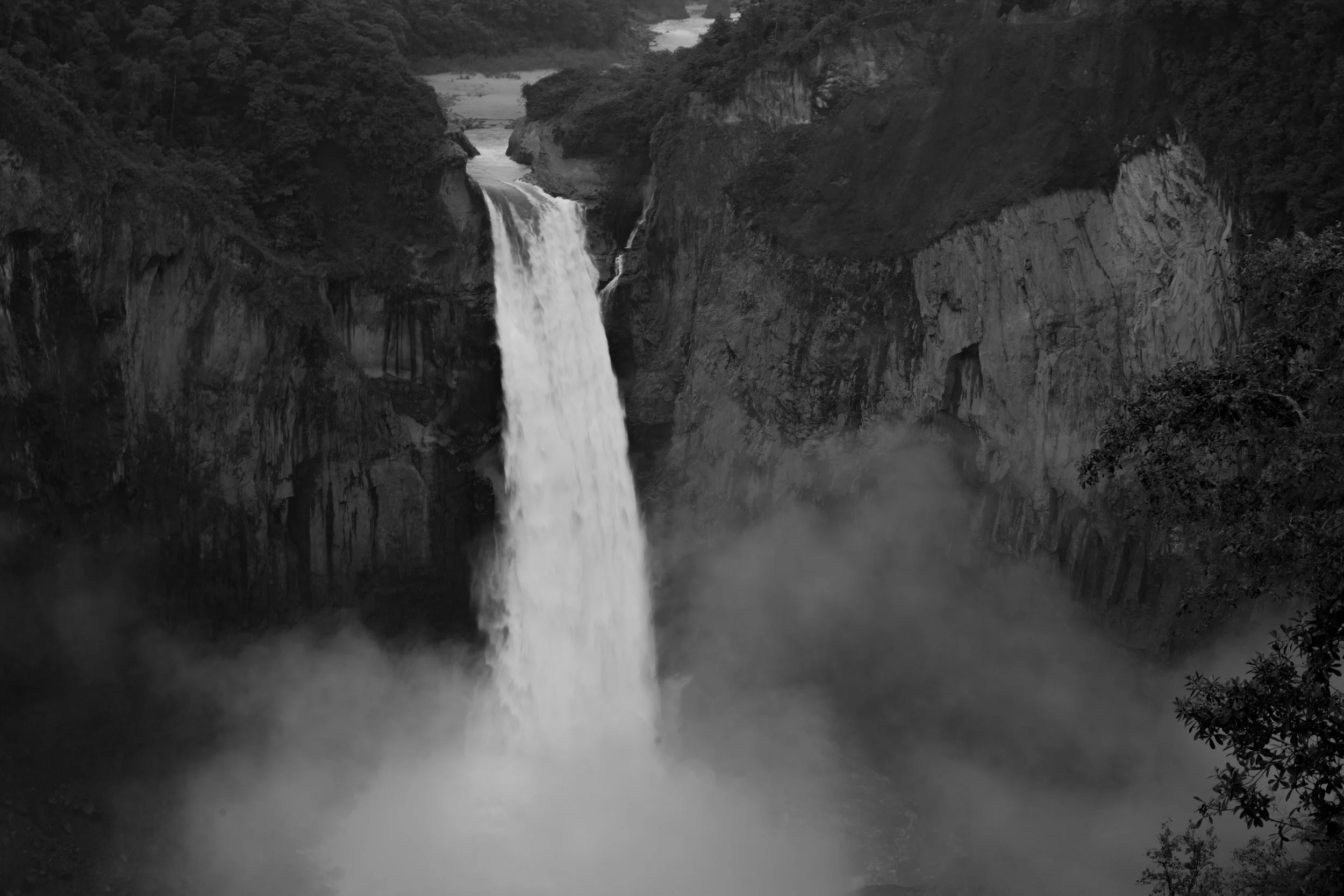 _DSC5290.jpg