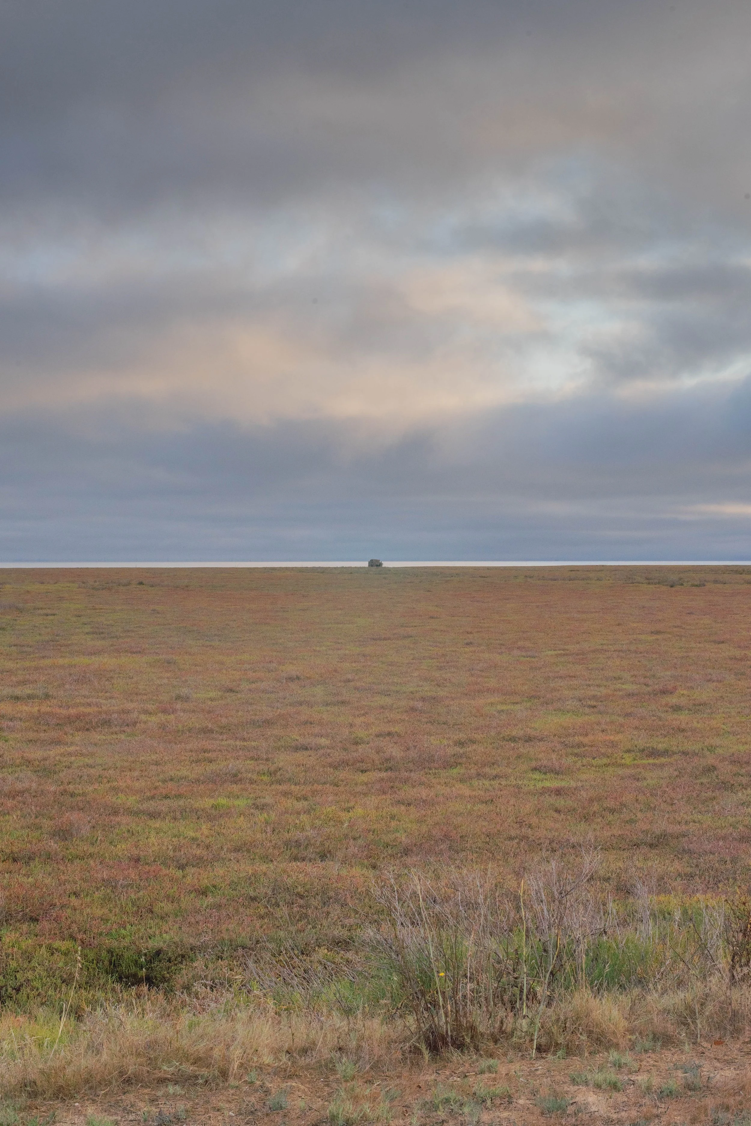 _MDO2883.jpg