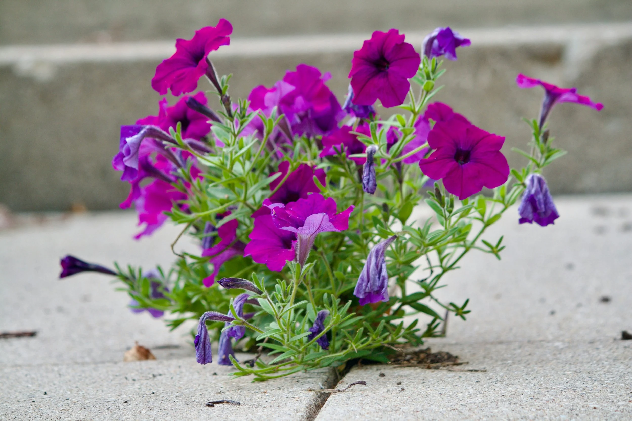 When Imposter Syndrome Strikes