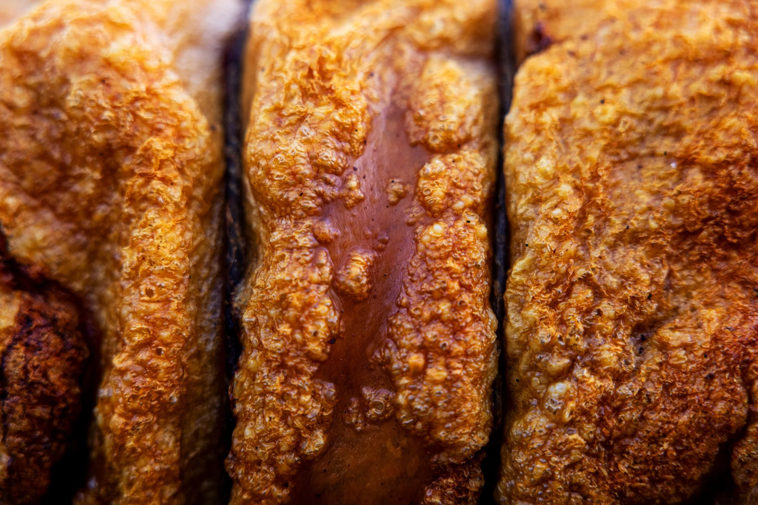 Close-up of cheesy Italian bread.