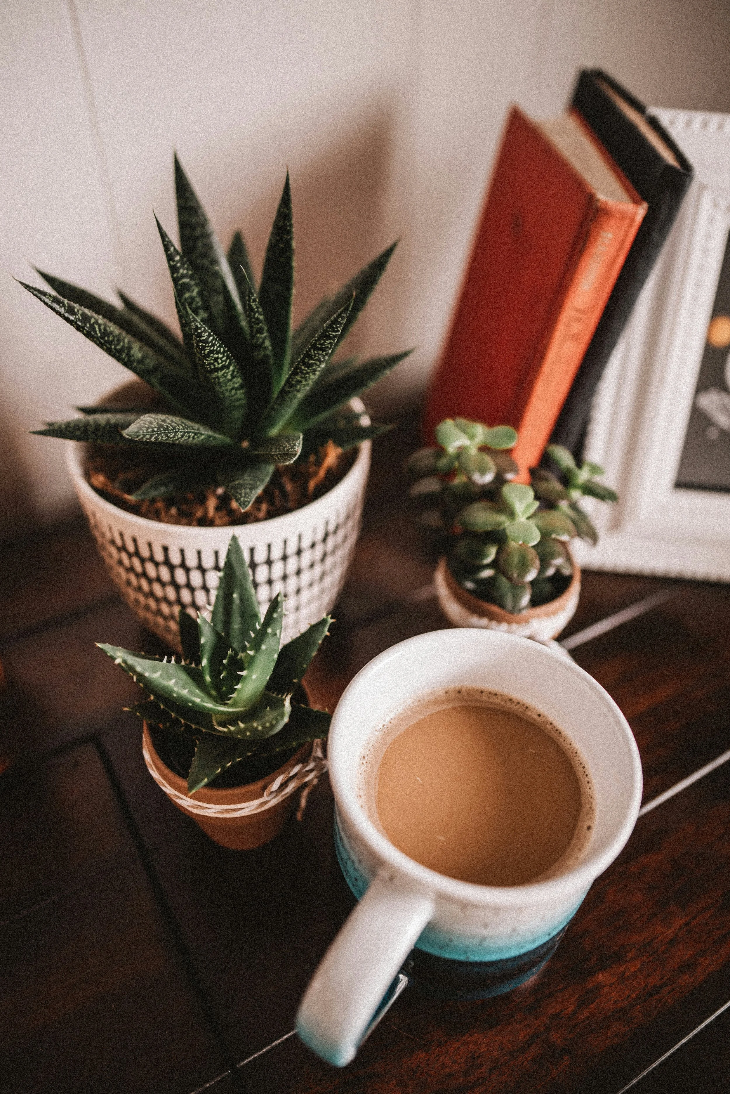 Close-up of a coffee mug filled with coffee, placed on a dark wooden table near three potted succulents of varying sizes and a small agave plant, with books and a framed photograph in the background.