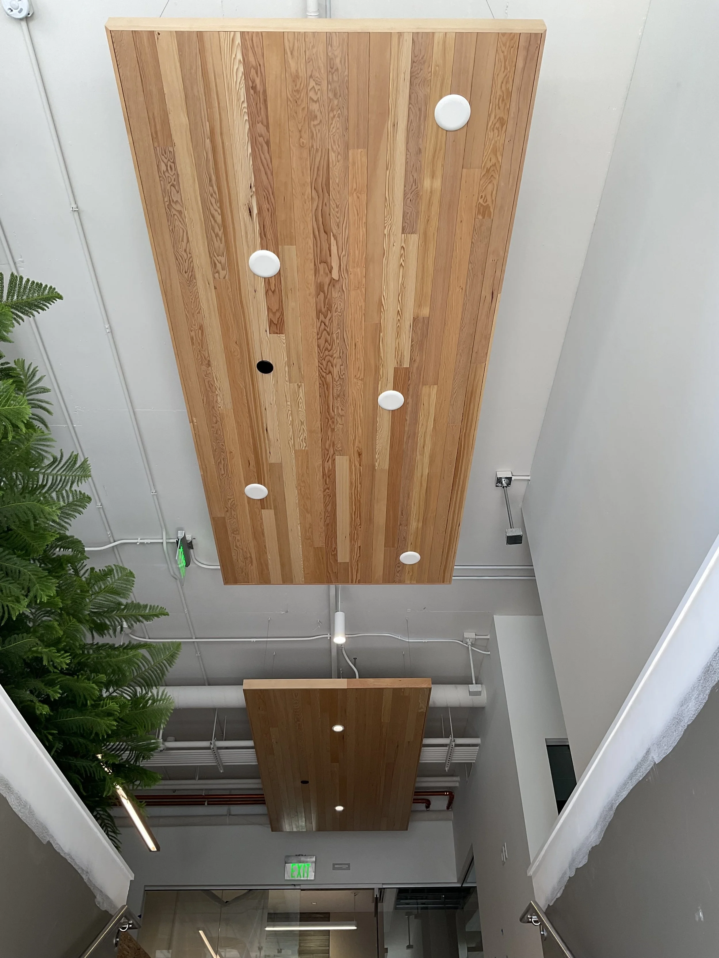 ULI Buildout Nature Conservancy