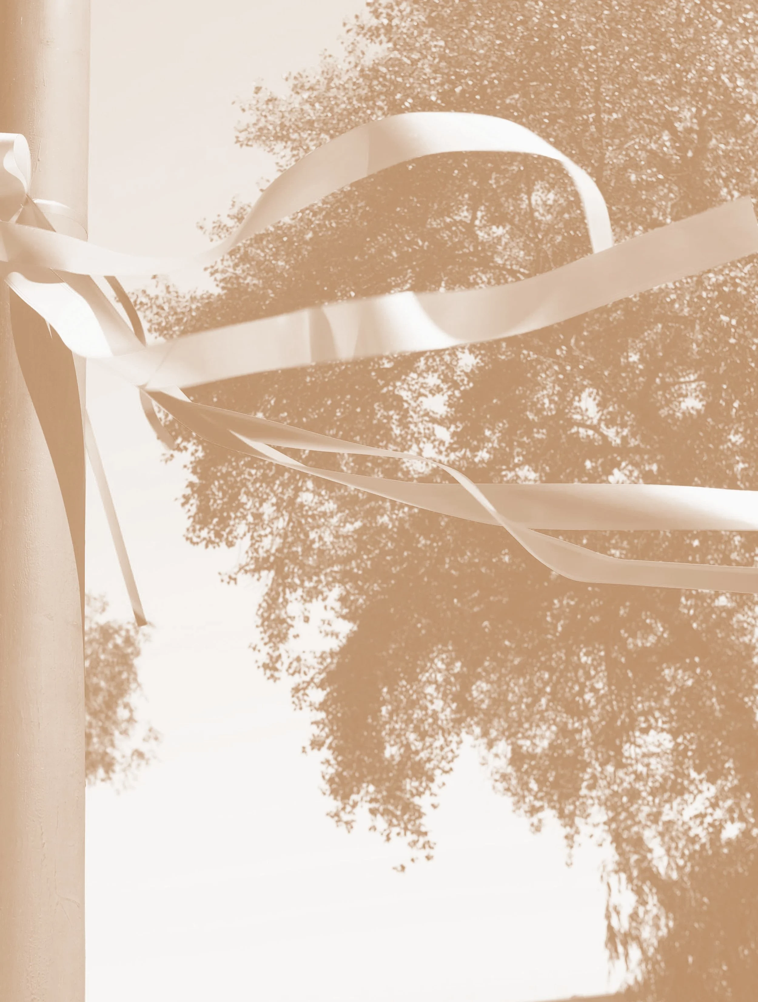 Ribbons Ribbons Everywhere