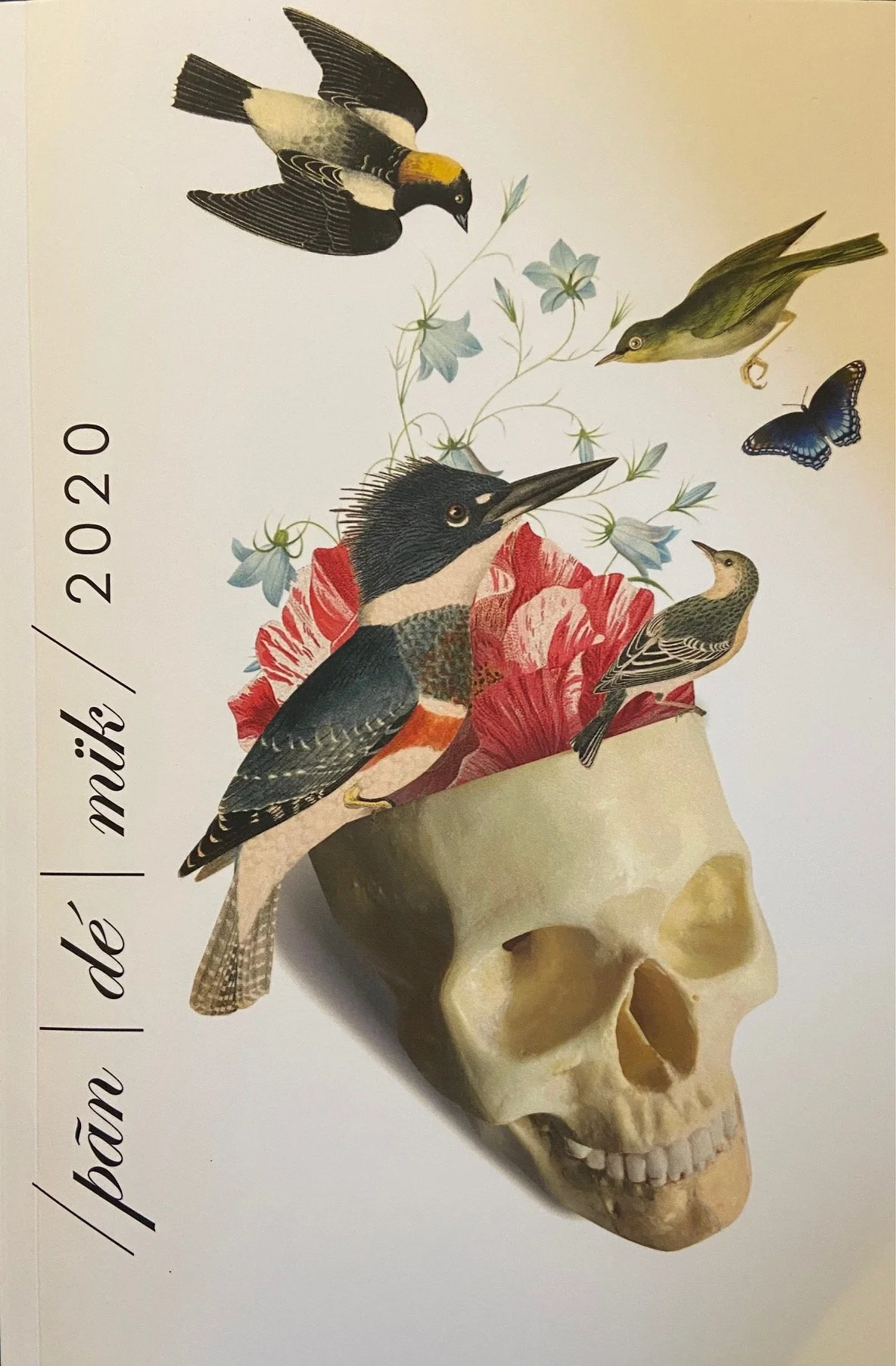 /pãn | dé | mïk\ 2020